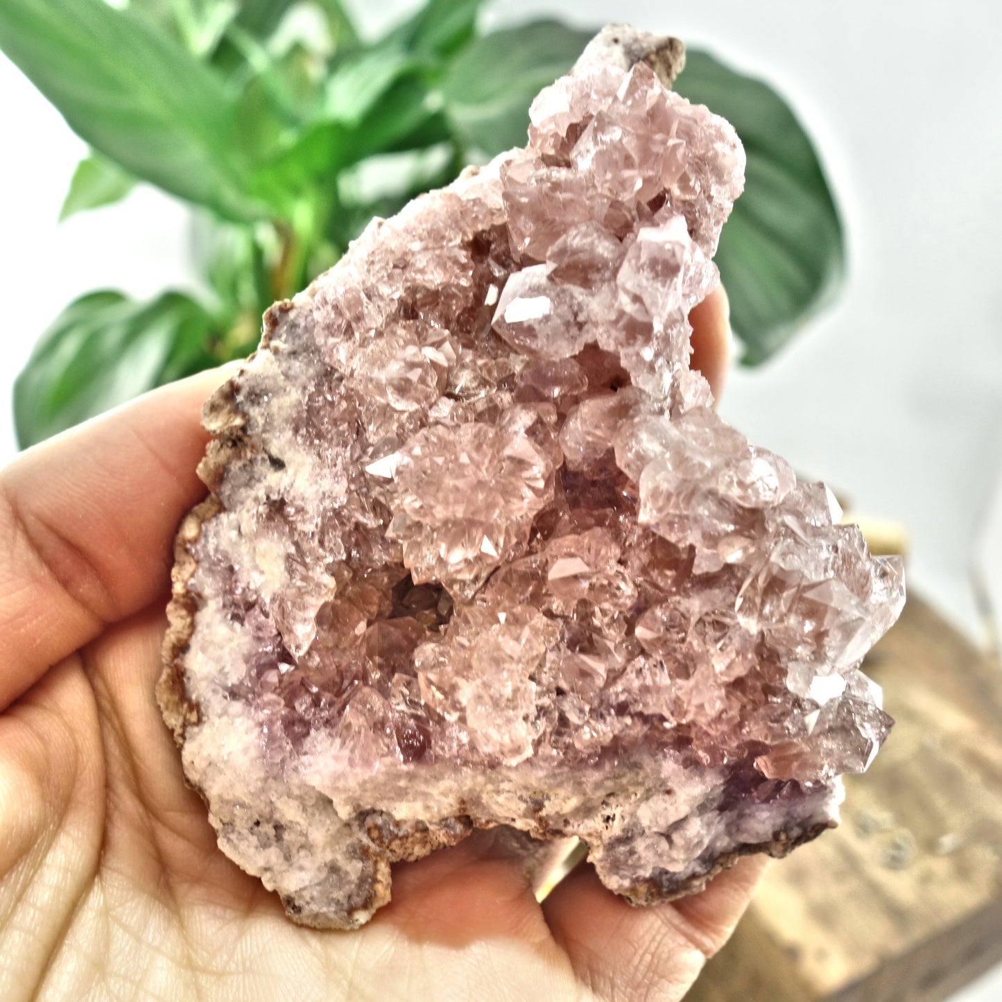NEW FIND! Large Pretty Druzy Pink Amethyst Cluster From Patagonia - Earth Family Crystals
