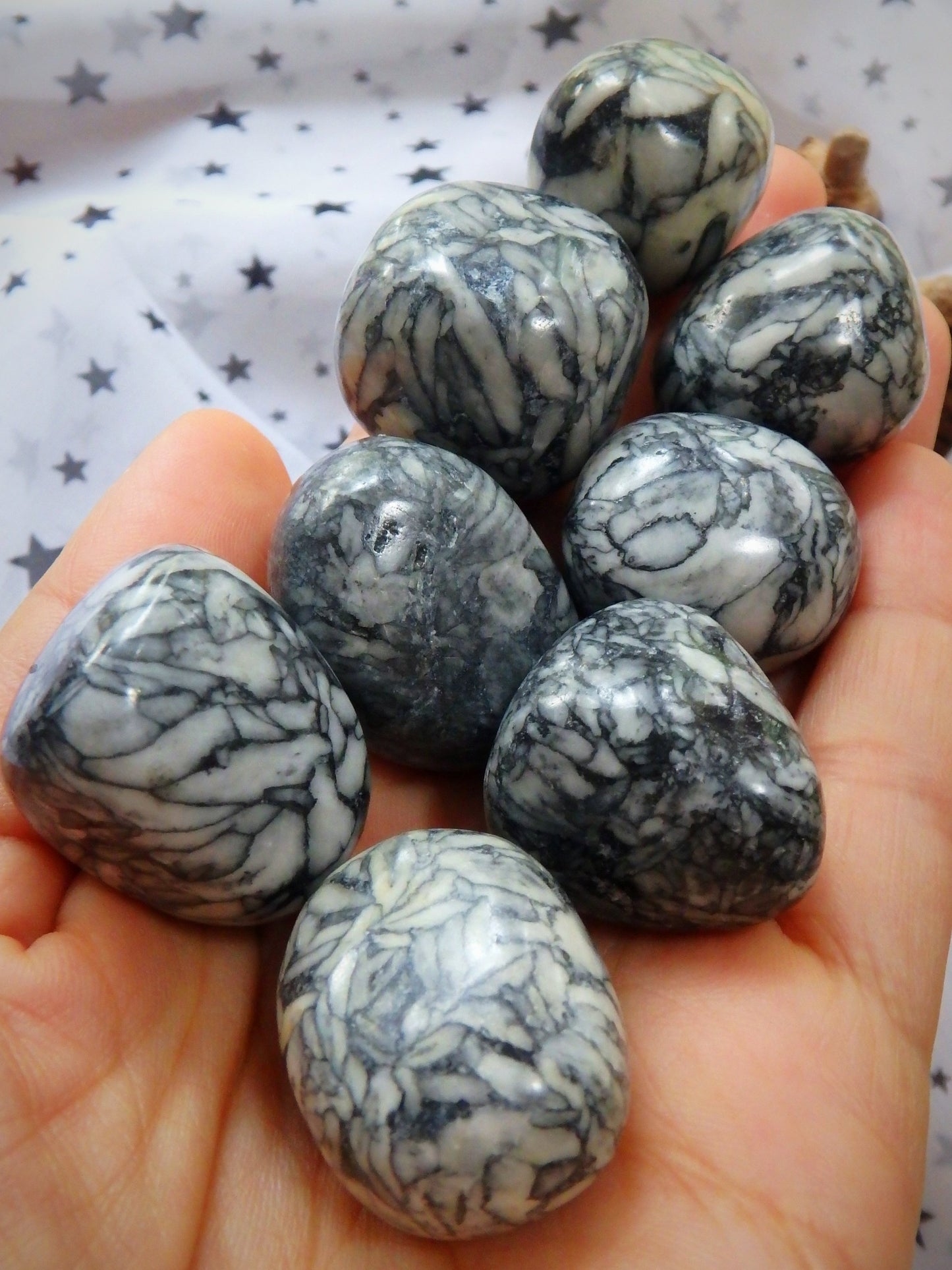 Rare Pinolith Tumbled Stone From Austria (1) - Earth Family Crystals