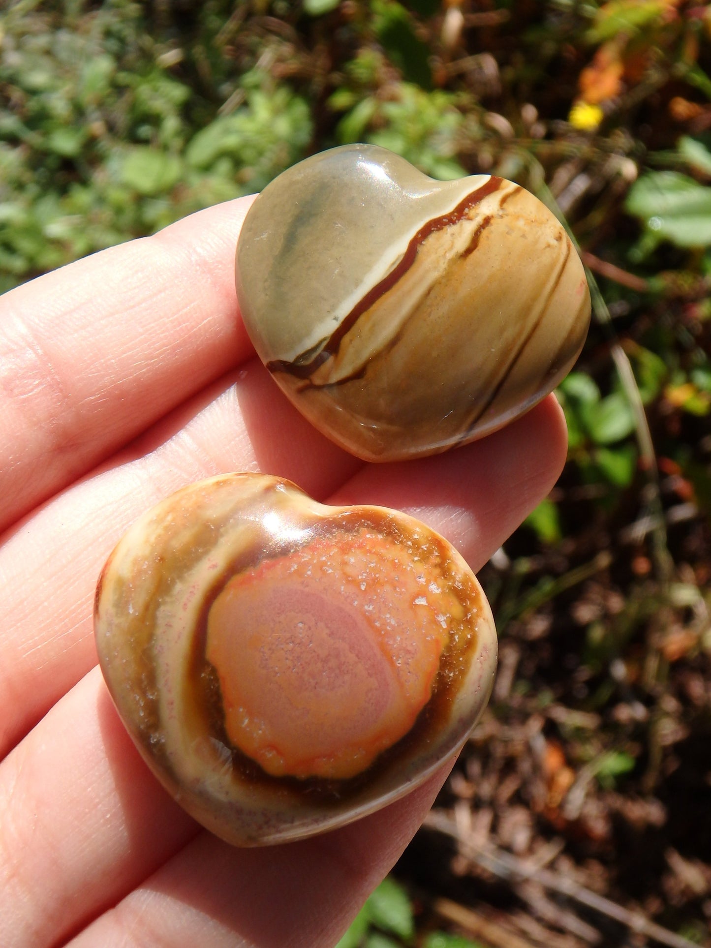 Set of 2~Delightful Colors Polychrome Jasper Small Heart Set 2 - Metiz Tier Price