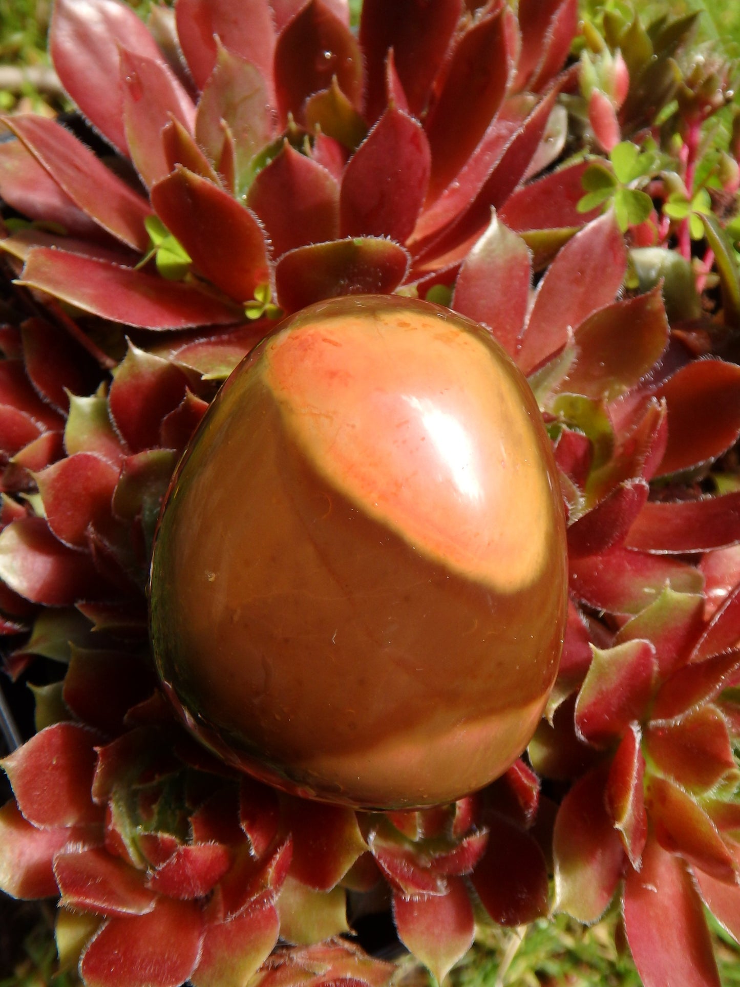 Incredible Patterns Smooth Polychrome Jasper Hand Held Pocket Stone - Metiz Tier Price