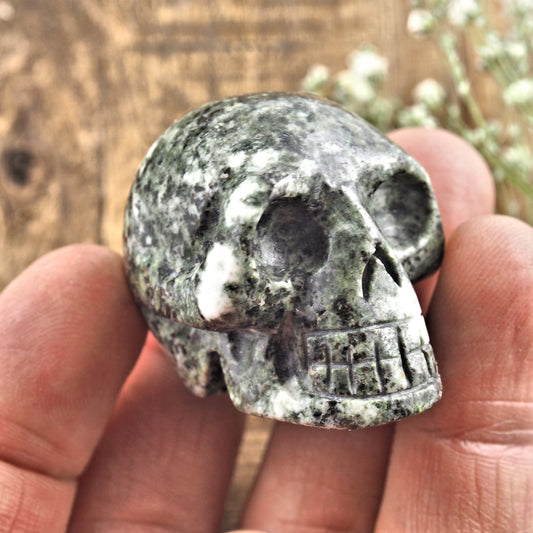 Ancient Preseli Bluestone Skull Carving From Wales, UK #2