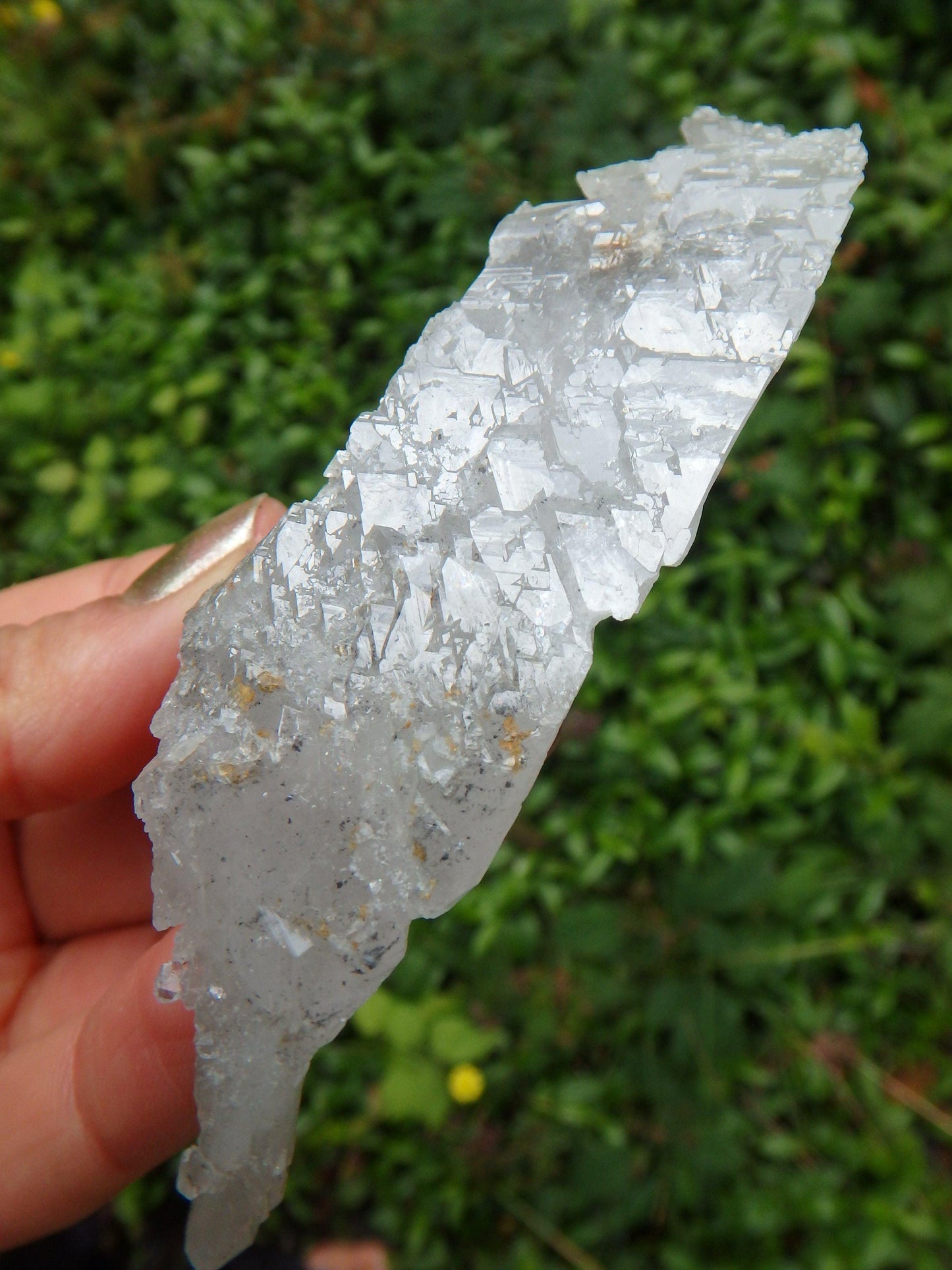 Blue Phantom Elestial Self Healed Arkansas Multi Point Quartz Cluster
