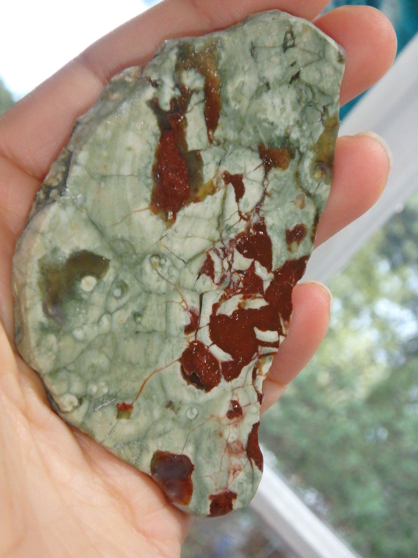 Australian Spherulitic Rhyolite Free Form Slice Specimen
