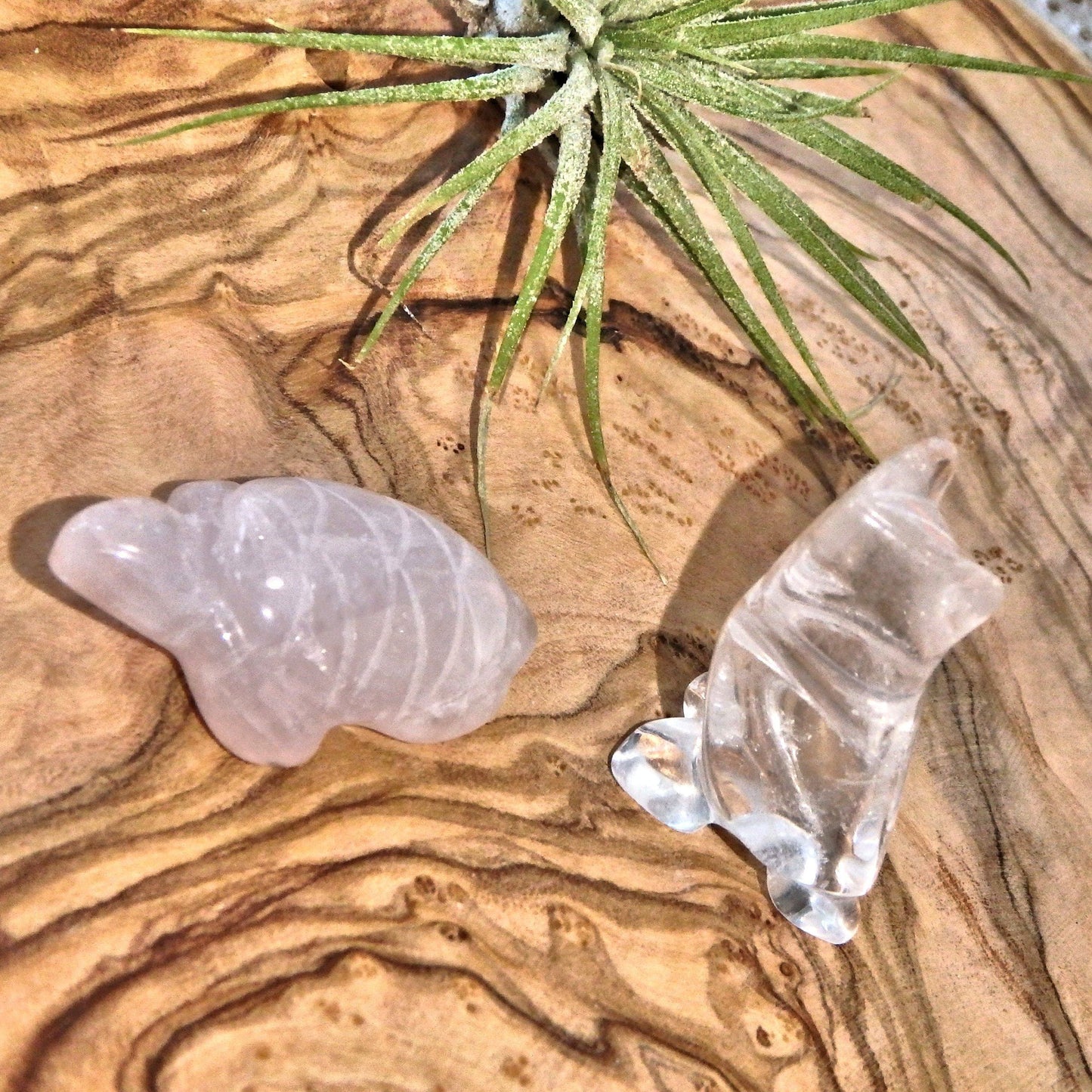 Adorable Rose Quartz Turtle & Owl Clear Quartz Set