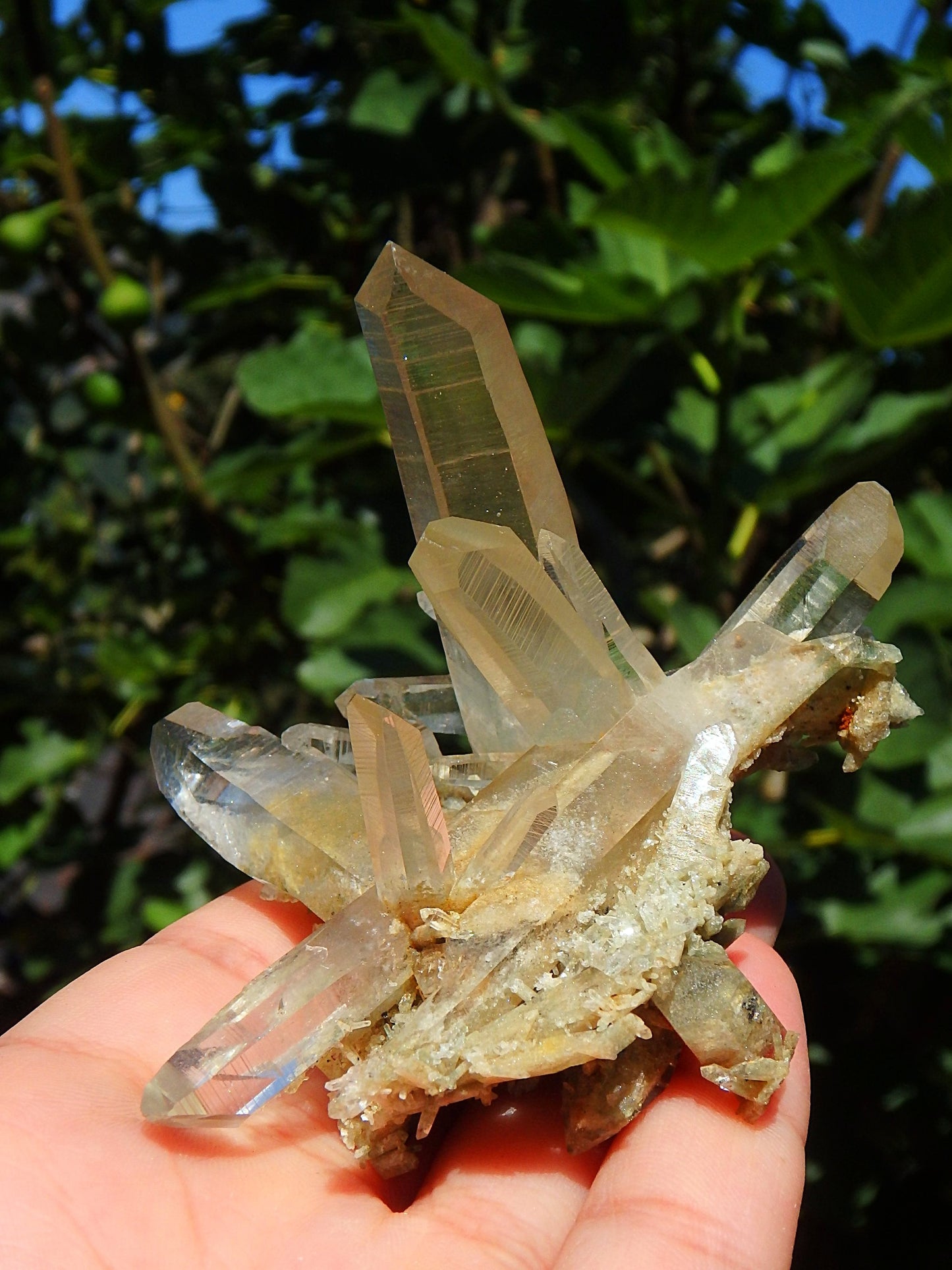 Incredible Phantom Included Points Samadhi Himalayan Quartz Specimen From India - Metiz Tier Price