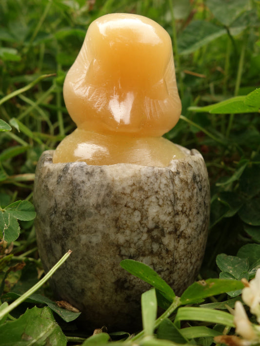 Adorable Orange Selenite Hatching Chick on Rock Egg Bowl (Perfect to Store Small Crystals in)