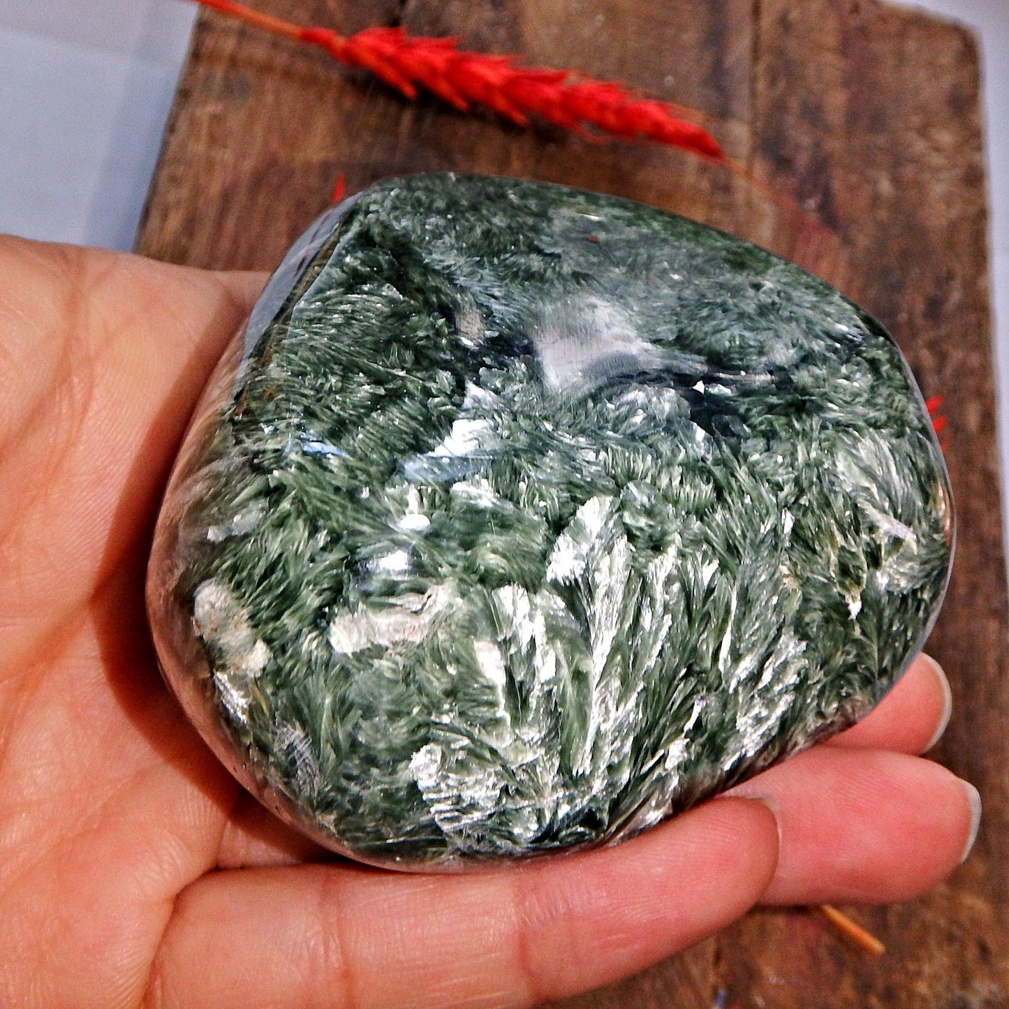 Incredible Large Silvery Angel Wings & Deep Forest Green Seraphinite Specimen - Earth Family Crystals