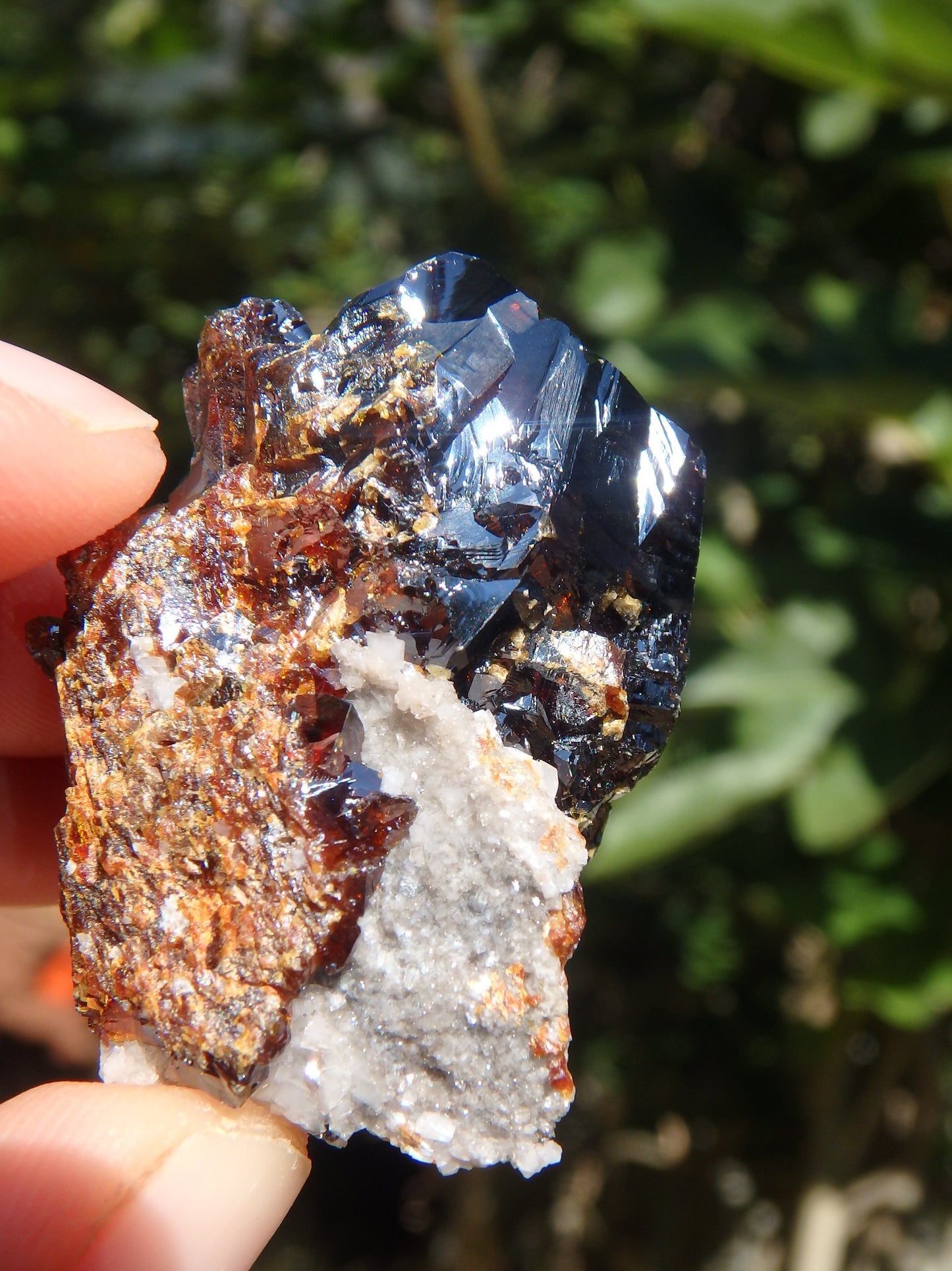 Shiny Deep Burgundy Sphalerite Specimen From Elmwood Mine - Metiz Tier Price