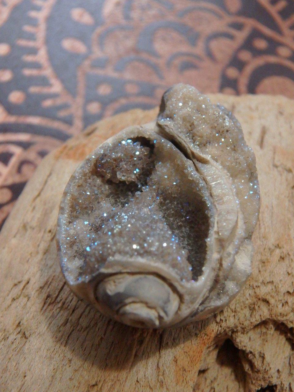 2 Dimension Druzy Shimmer Aura Infused Spiralite Gemshell Specimen From India