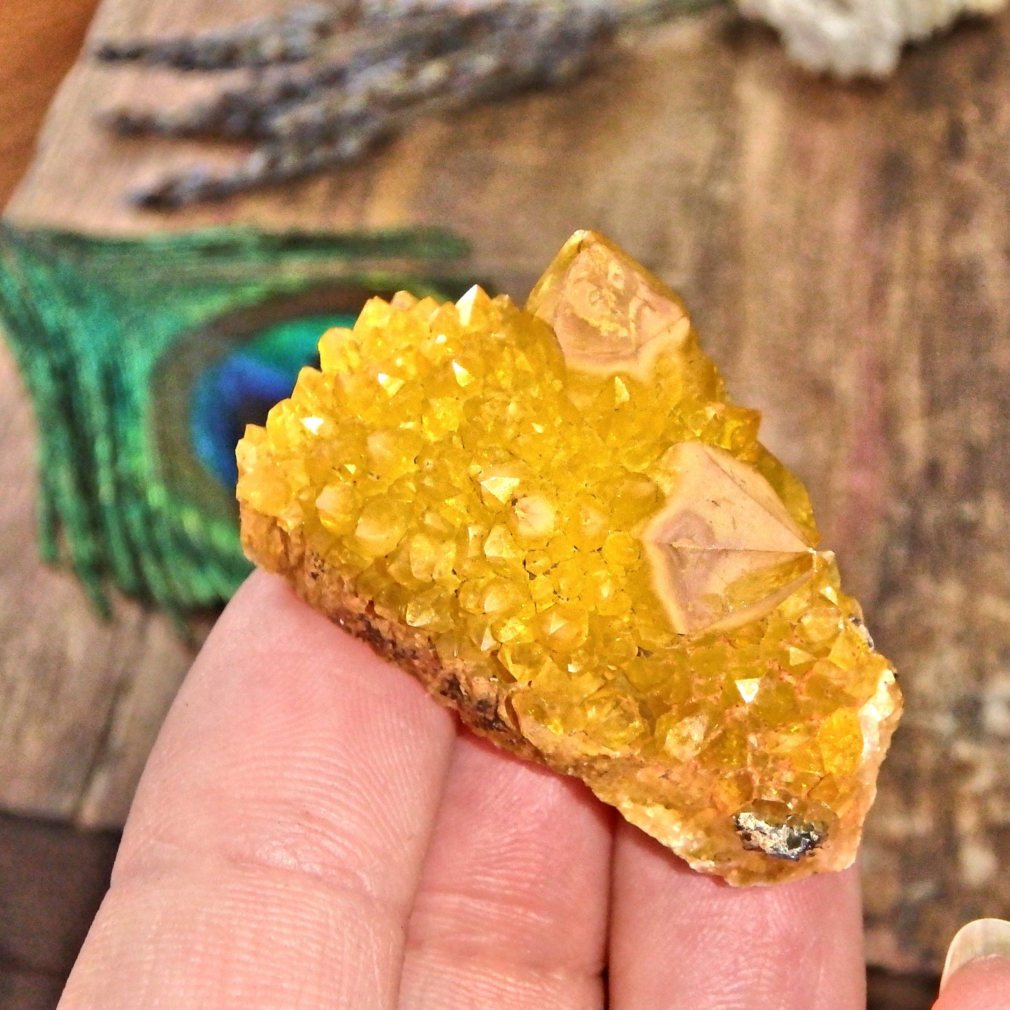 Natural Deep Orange Citrine Spirit Quartz Hand Held Specimen 1 - Earth Family Crystals