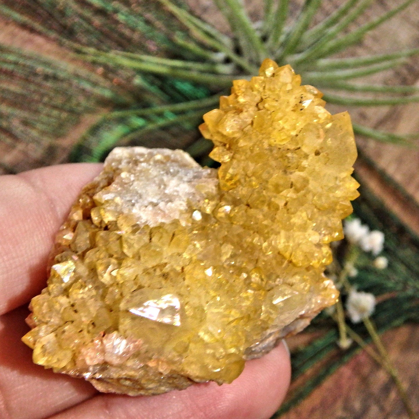 Completely Natural Golden Citrine Sparkly Spirit Quartz Cluster 1