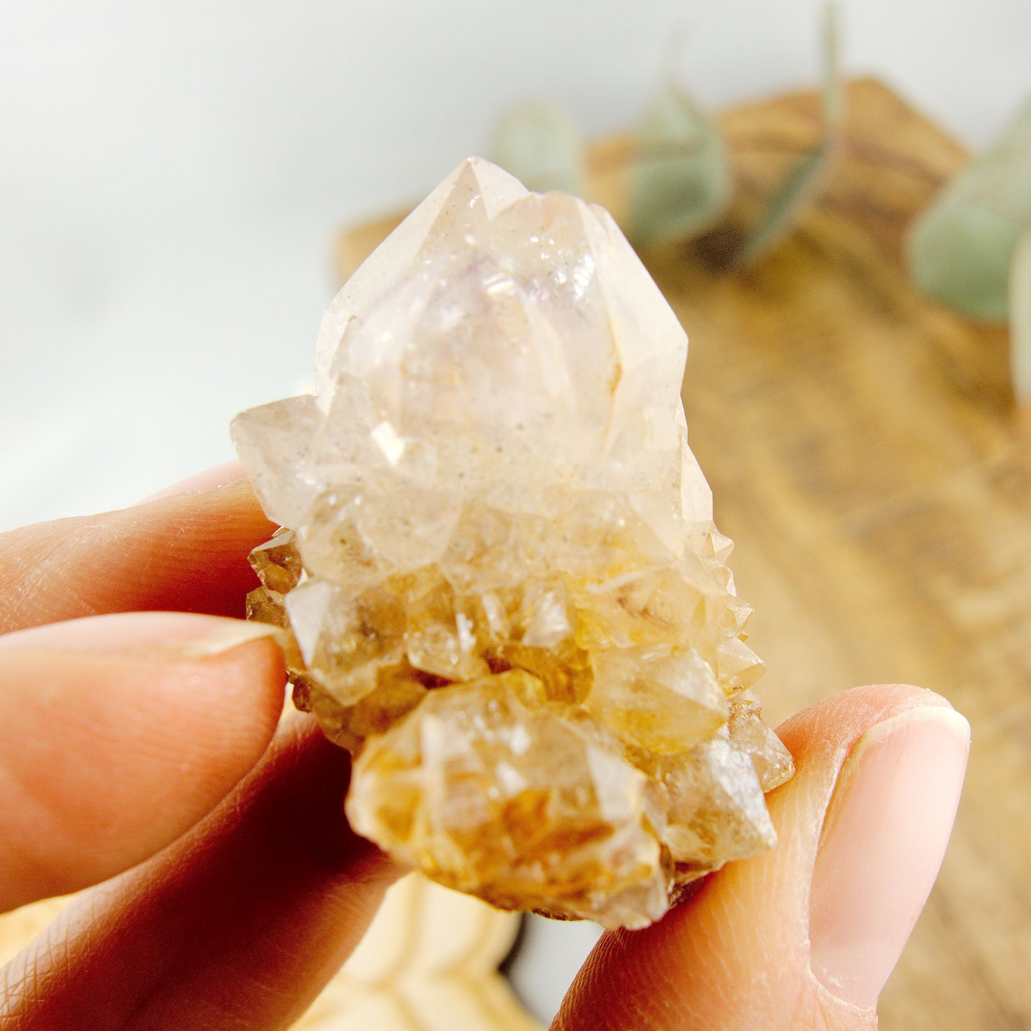 Phantom Included Purple Ametrine Spirit Quartz Cluster #1 - Earth Family Crystals