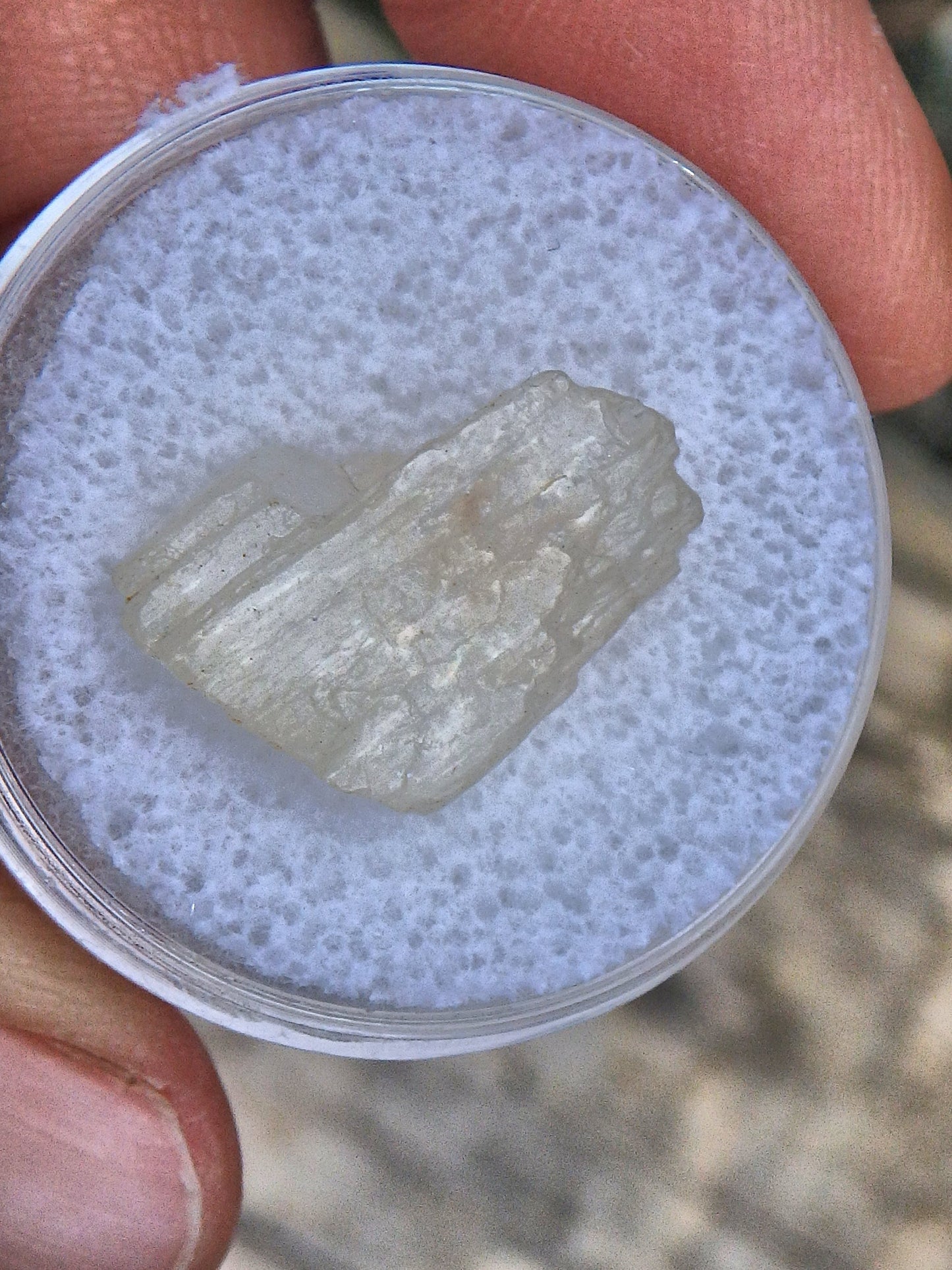 Golden Arizona Natural Sunstone in Collectors Box 4 Default Title - Earth Family Crystals