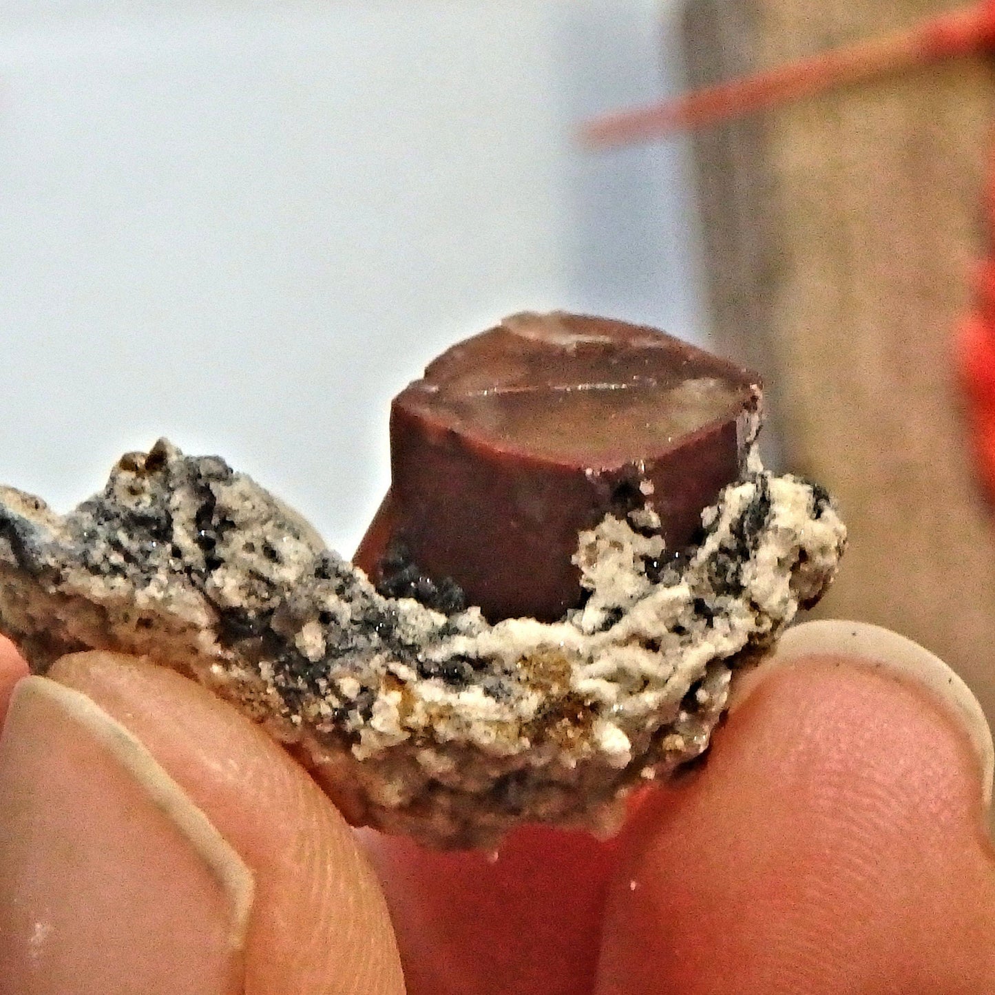 Deep Orange Topaz on Dainty Matrix From Mexico