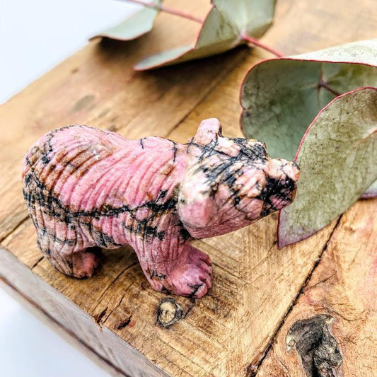 Adorable Rhodonite Bear Display Carving
