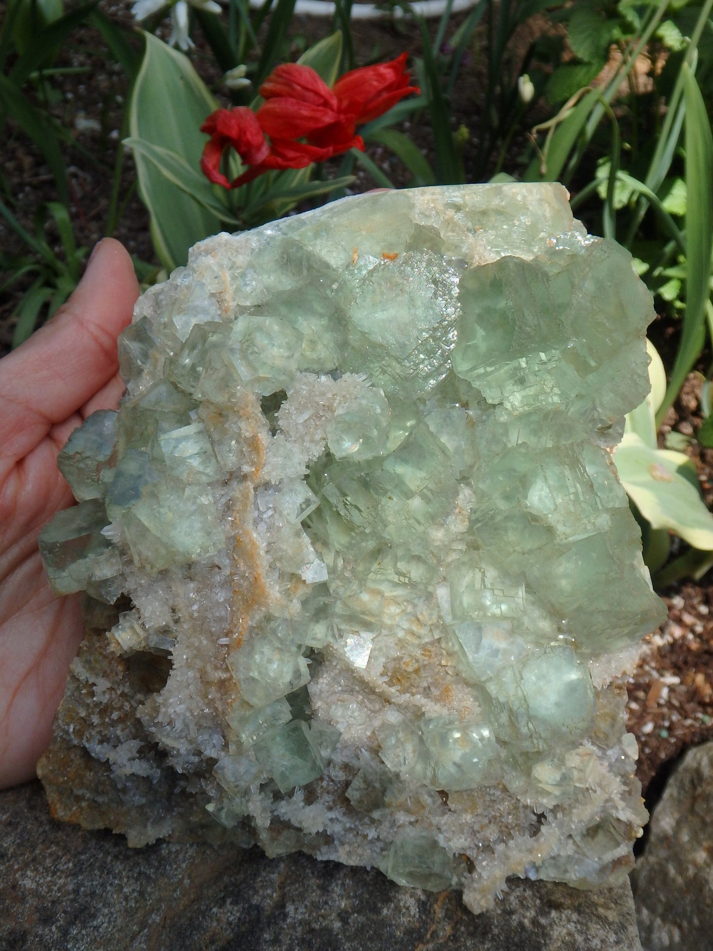 Incredible Brilliance~ Large Green Fluorite With Mini Quartz Points on Matrix Display Specimen - Metiz Tier Price