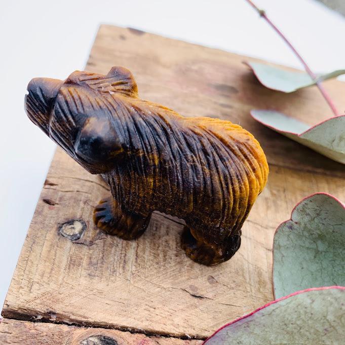 Adorable Tiger Eye Bear Display Carving