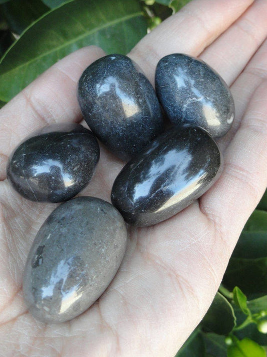 Amazing MASTER SHAMANITE STONE (Rare Black Calcite) (1)