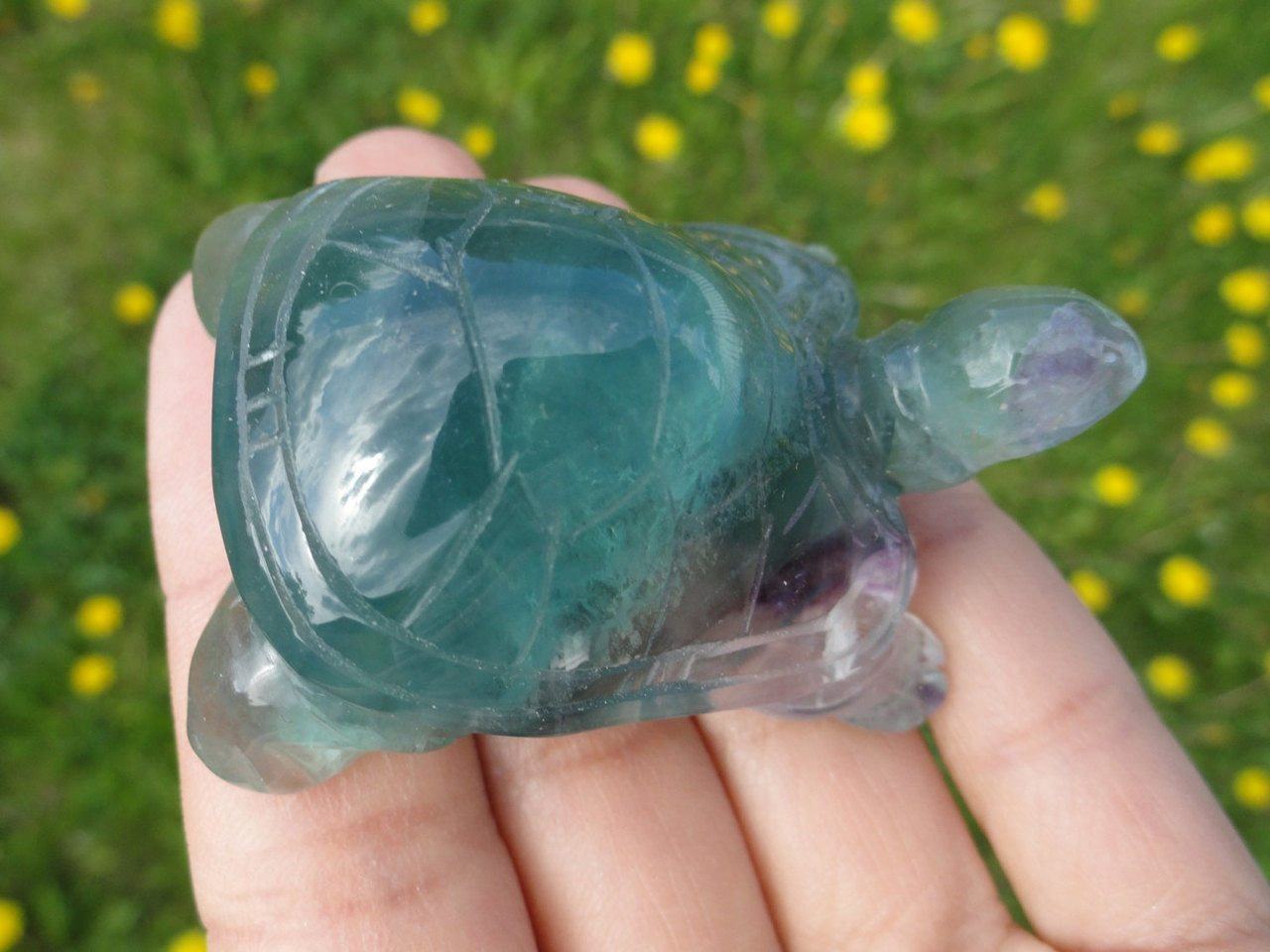 Curious Green FLUORITE TURTLE ~ Stone of Stress Relief,Confidence,Peaceful Dreams*