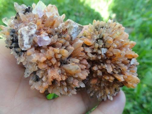  Creedite