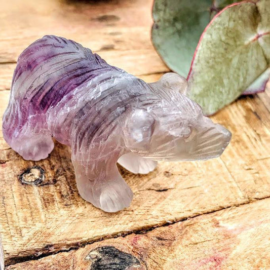  Adorable Rainbow Fluorite Bear Display Carving