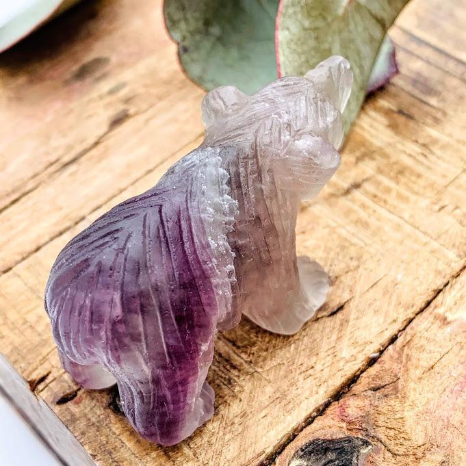  Adorable Rainbow Fluorite Bear Display Carving