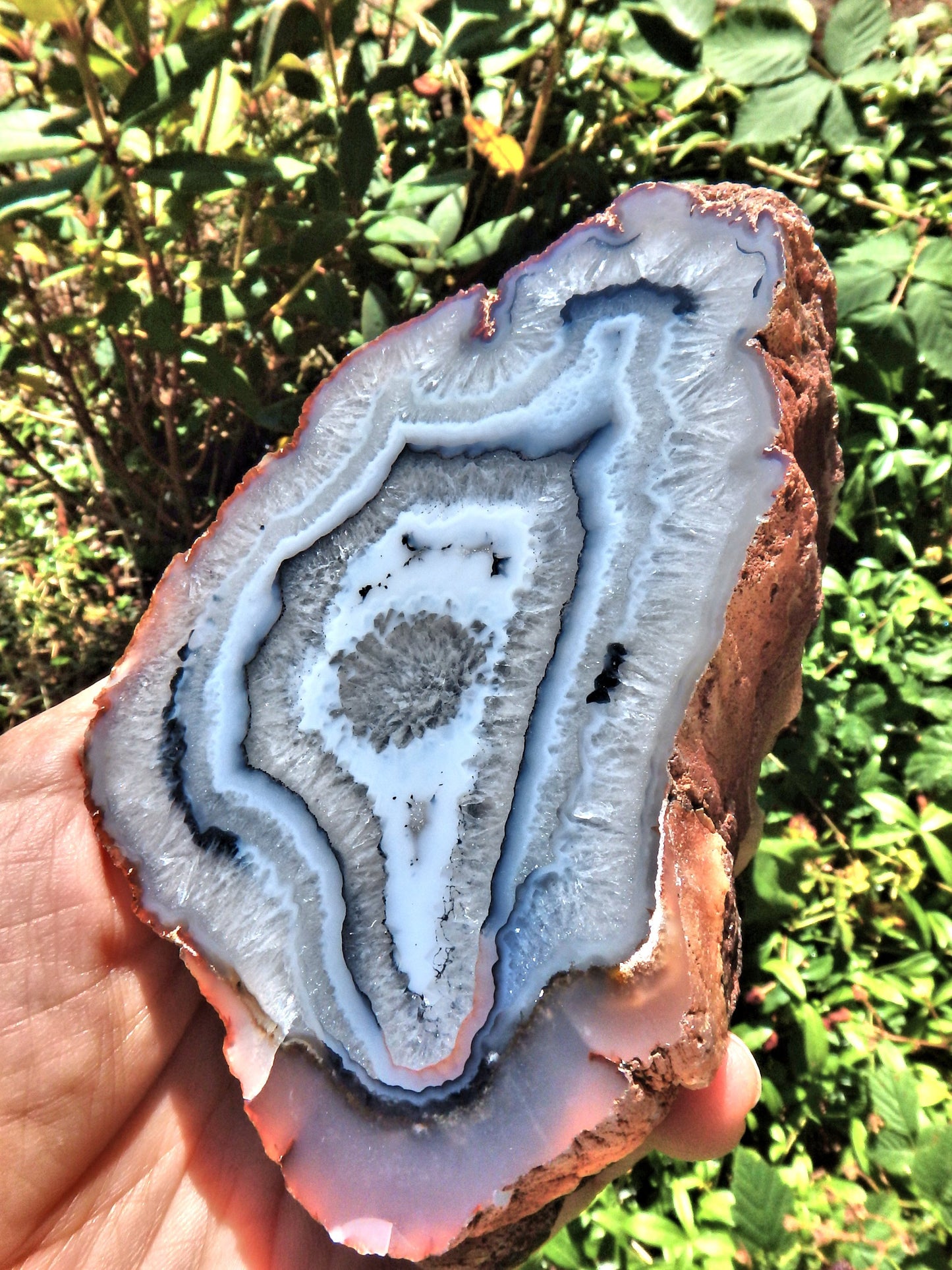 Great Depth Large Blue & White Swirling Flower Patterns Agate Partially Polished From Patagonia - Earth Family Crystals