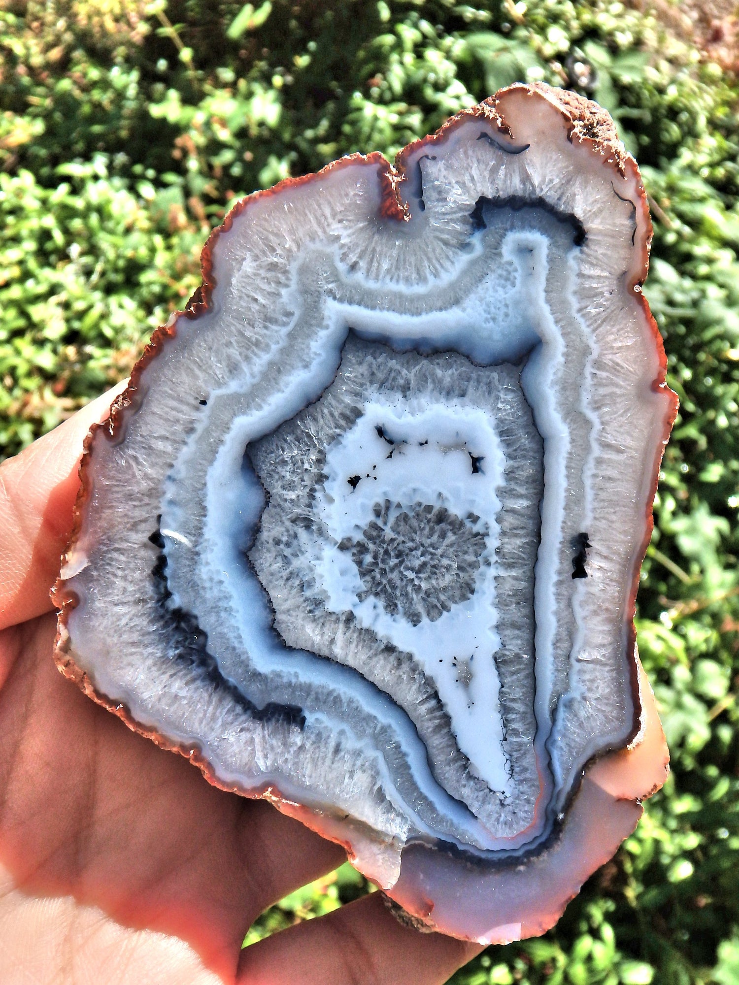 Great Depth Large Blue & White Swirling Flower Patterns Agate Partially Polished From Patagonia - Earth Family Crystals