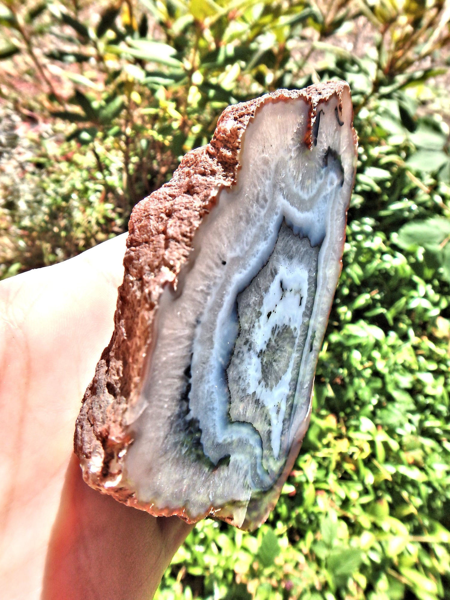 Great Depth Large Blue & White Swirling Flower Patterns Agate Partially Polished From Patagonia - Earth Family Crystals