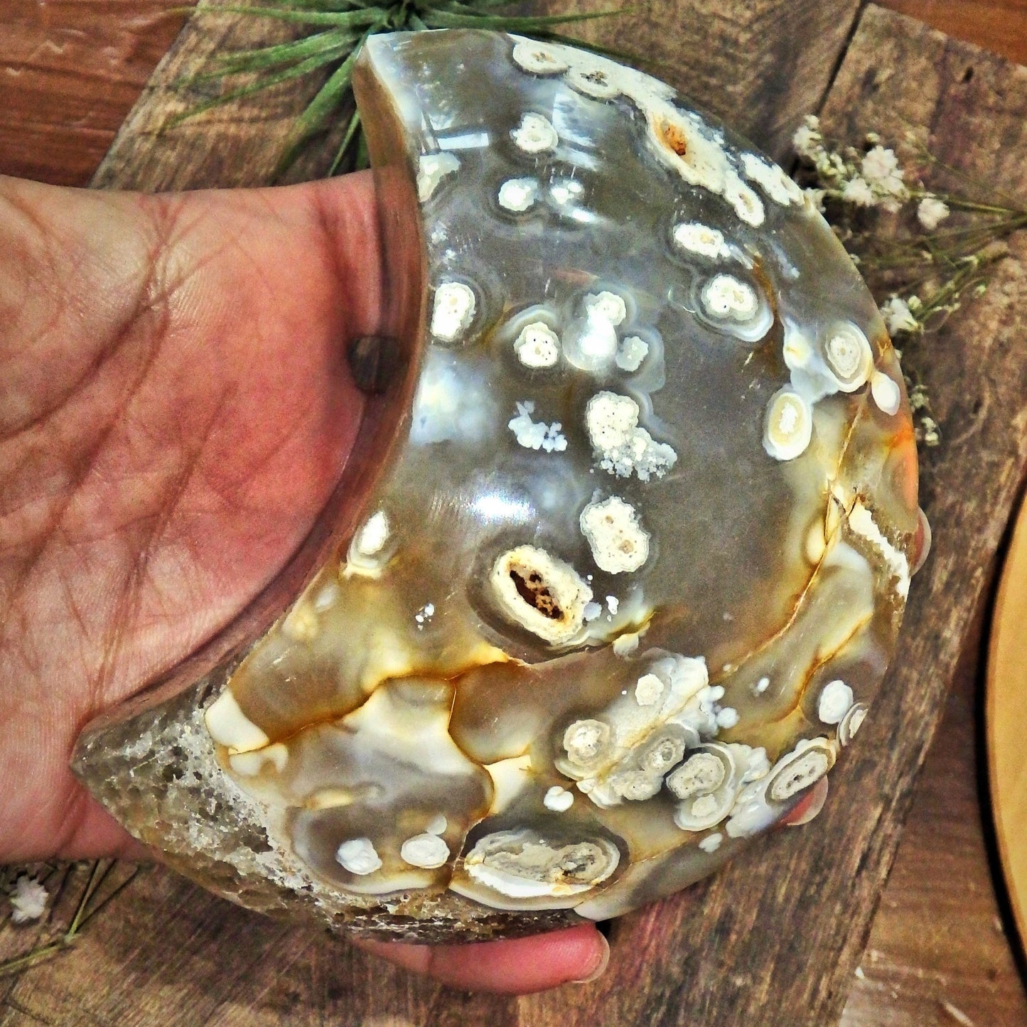 Incredible Chunky Large Sparkling Galaxy Agate Geode Crescent Moon Display Carving