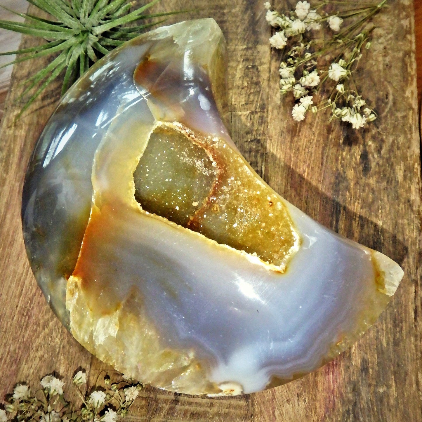 Incredible Chunky Large Sparkling Galaxy Agate Geode Crescent Moon Display Carving