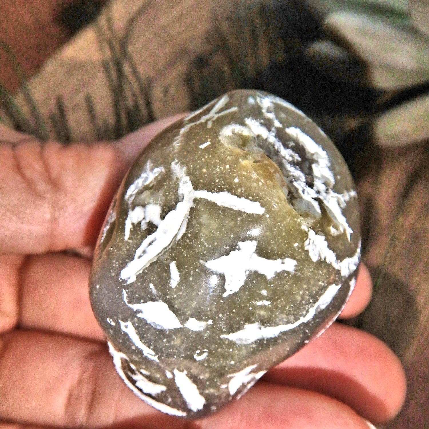  Alligator Agate Polished Nodule Hand Held Specimen From Brazil