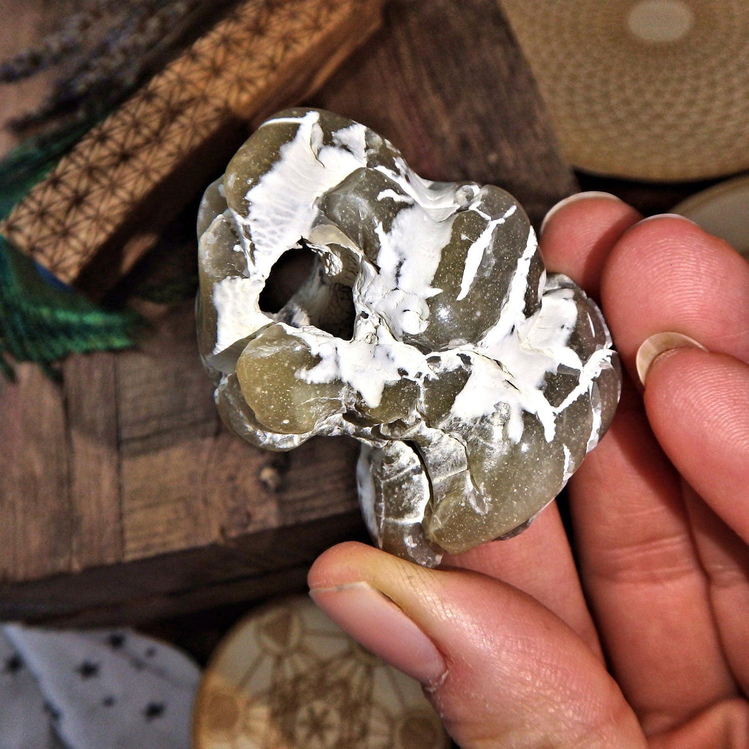  Alligator Agate Free Form With Natural Hole