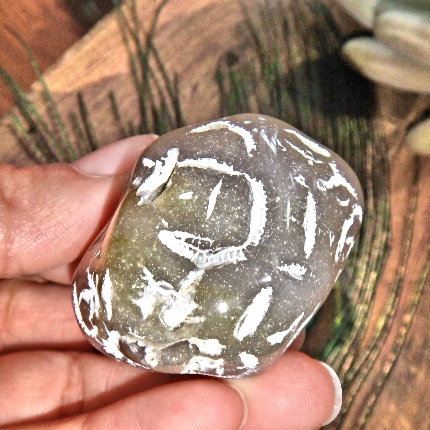  Alligator Agate Polished Nodule Hand Held Specimen From Brazil