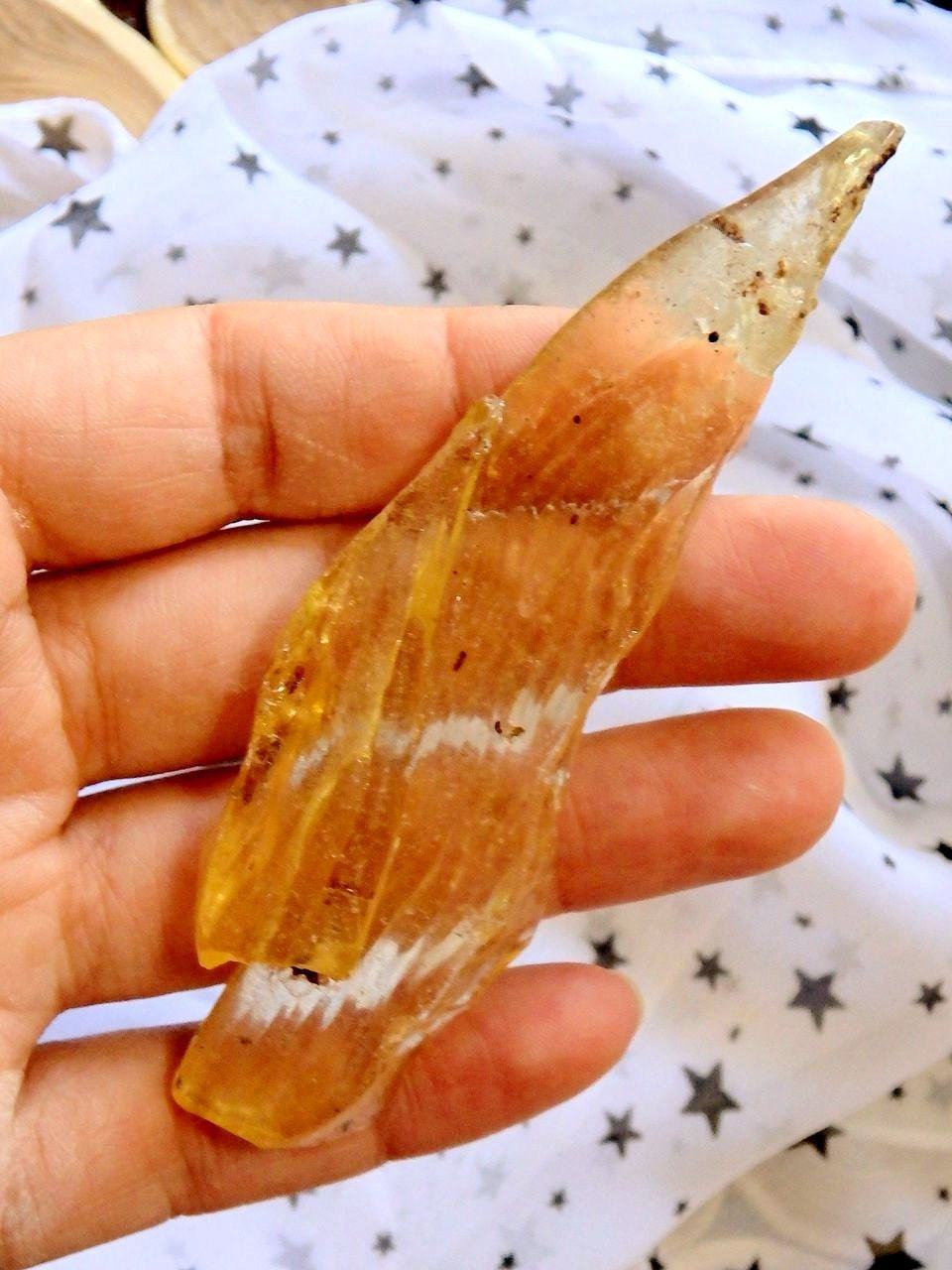  Colombian Amber Copal With Bugs Free Form 1