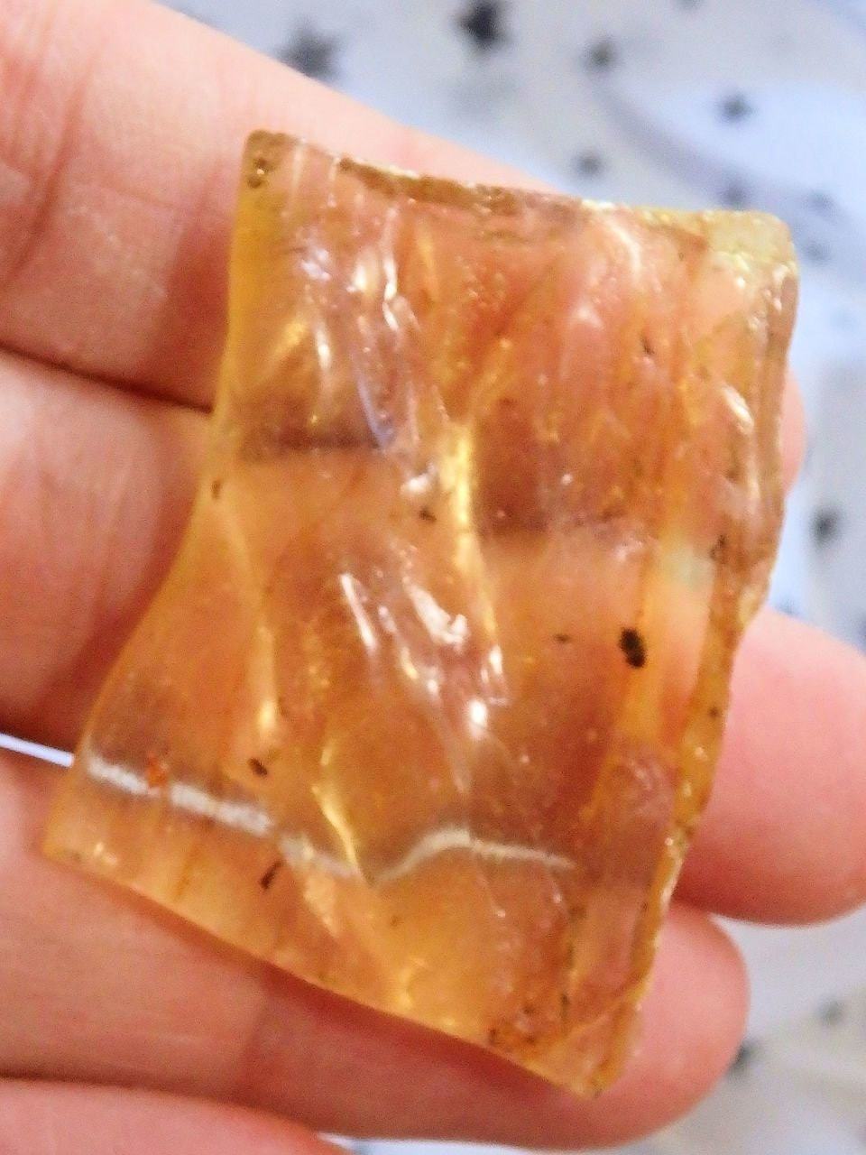  Colombian Amber Copal With Bugs Free Form 2