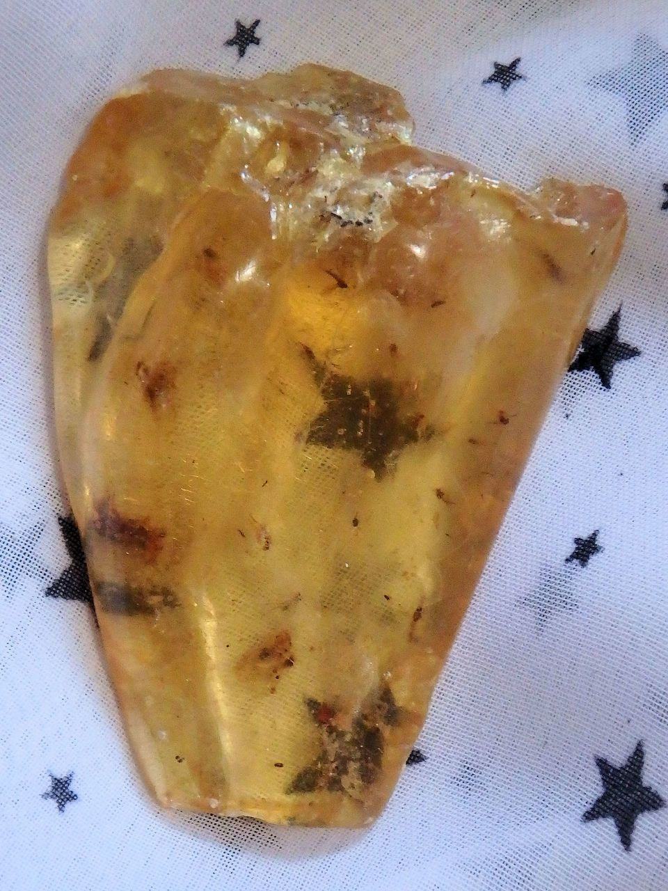  Colombian Amber Copal With Bugs Free Form 3
