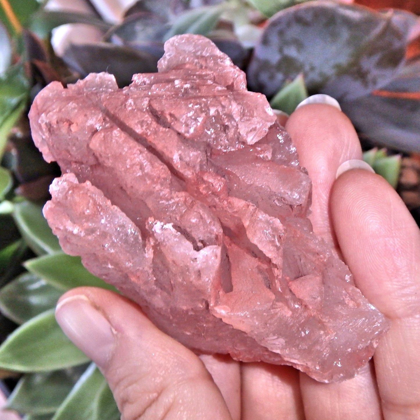  Blushing Pink Earth Etched Nirvana Ice Quartz From The Himalayas