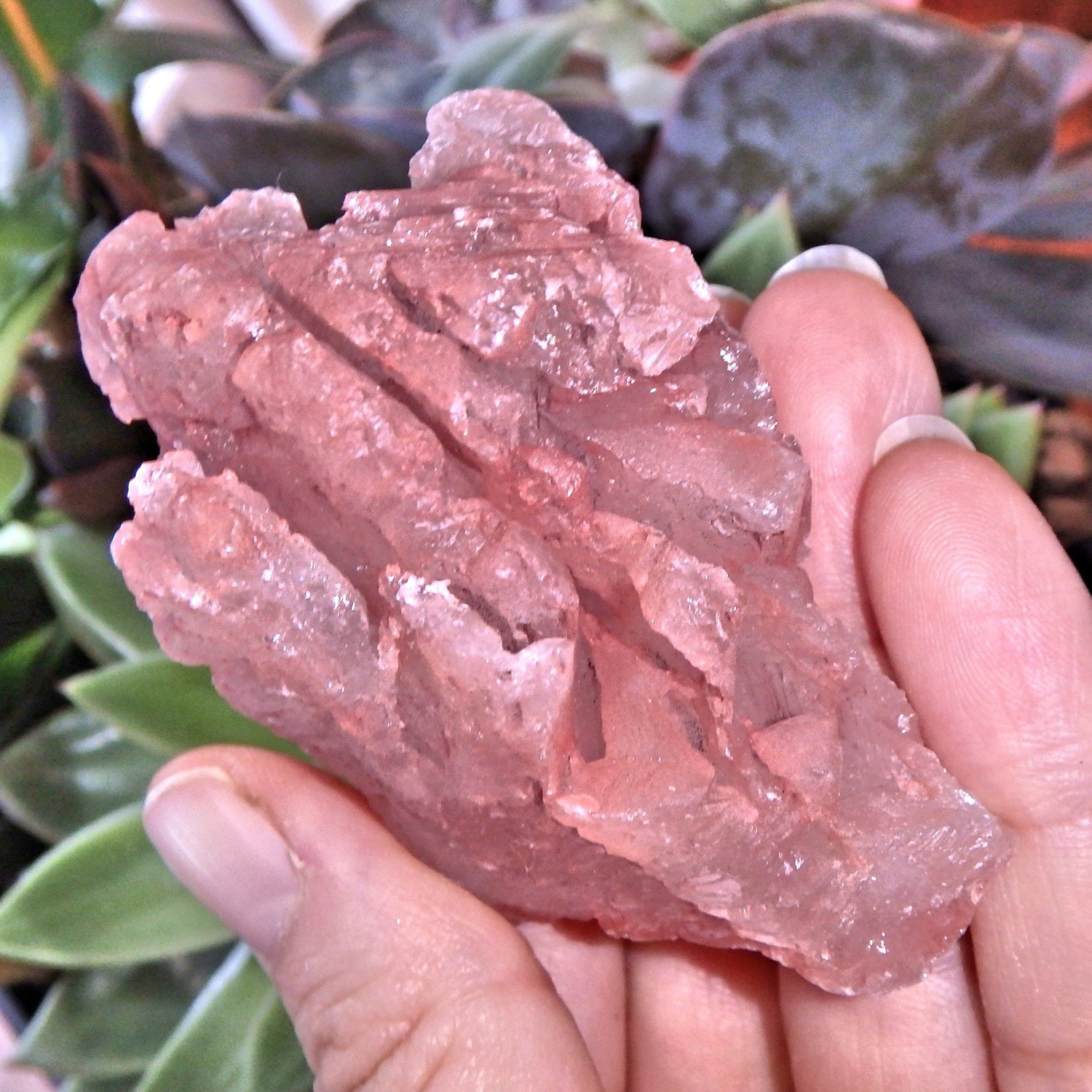 Blushing Pink Earth Etched Nirvana Ice Quartz From The Himalayas