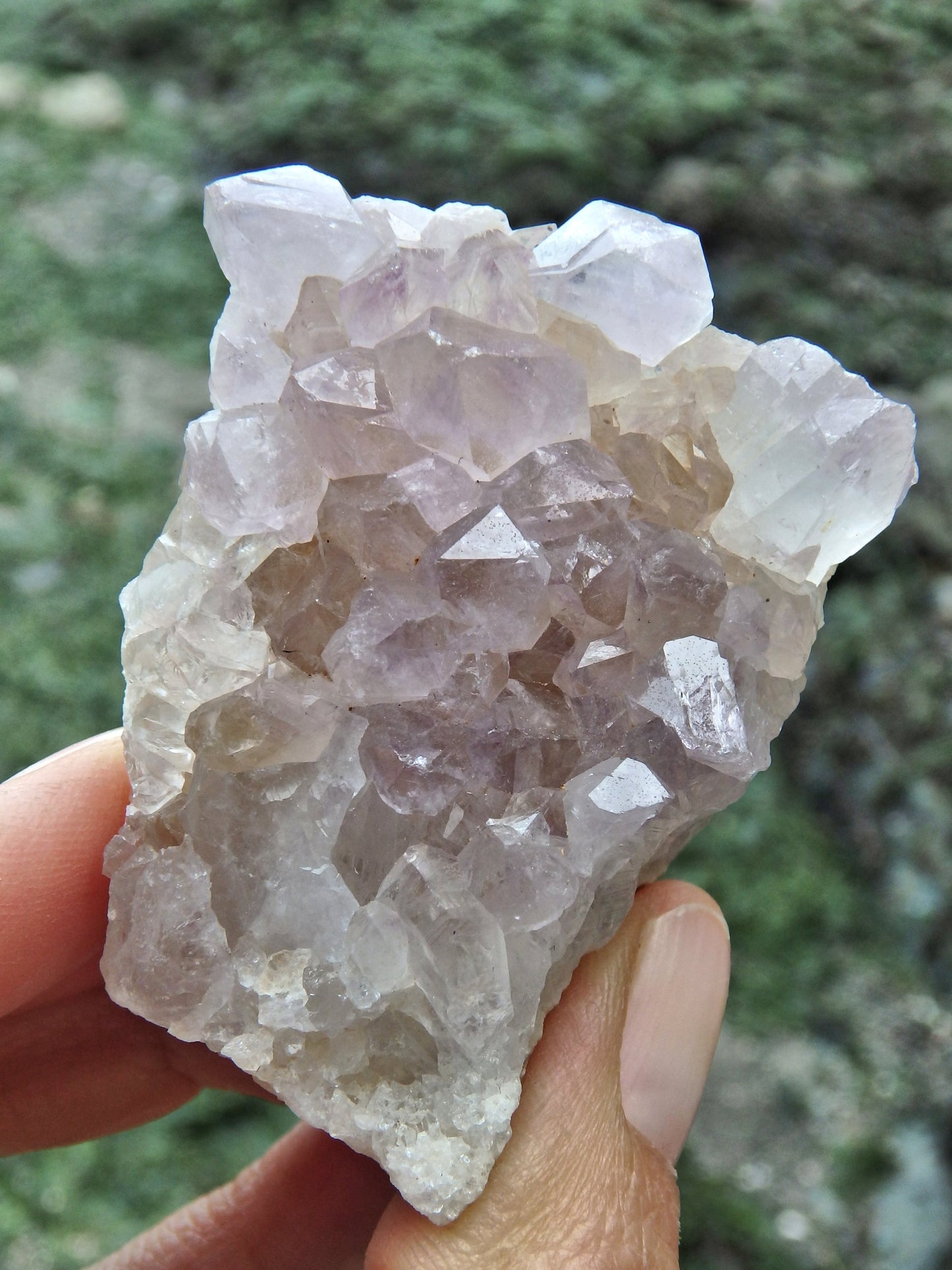 Lavender Ametrine Quartz Cluster Specimen 1 - Earth Family Crystals
