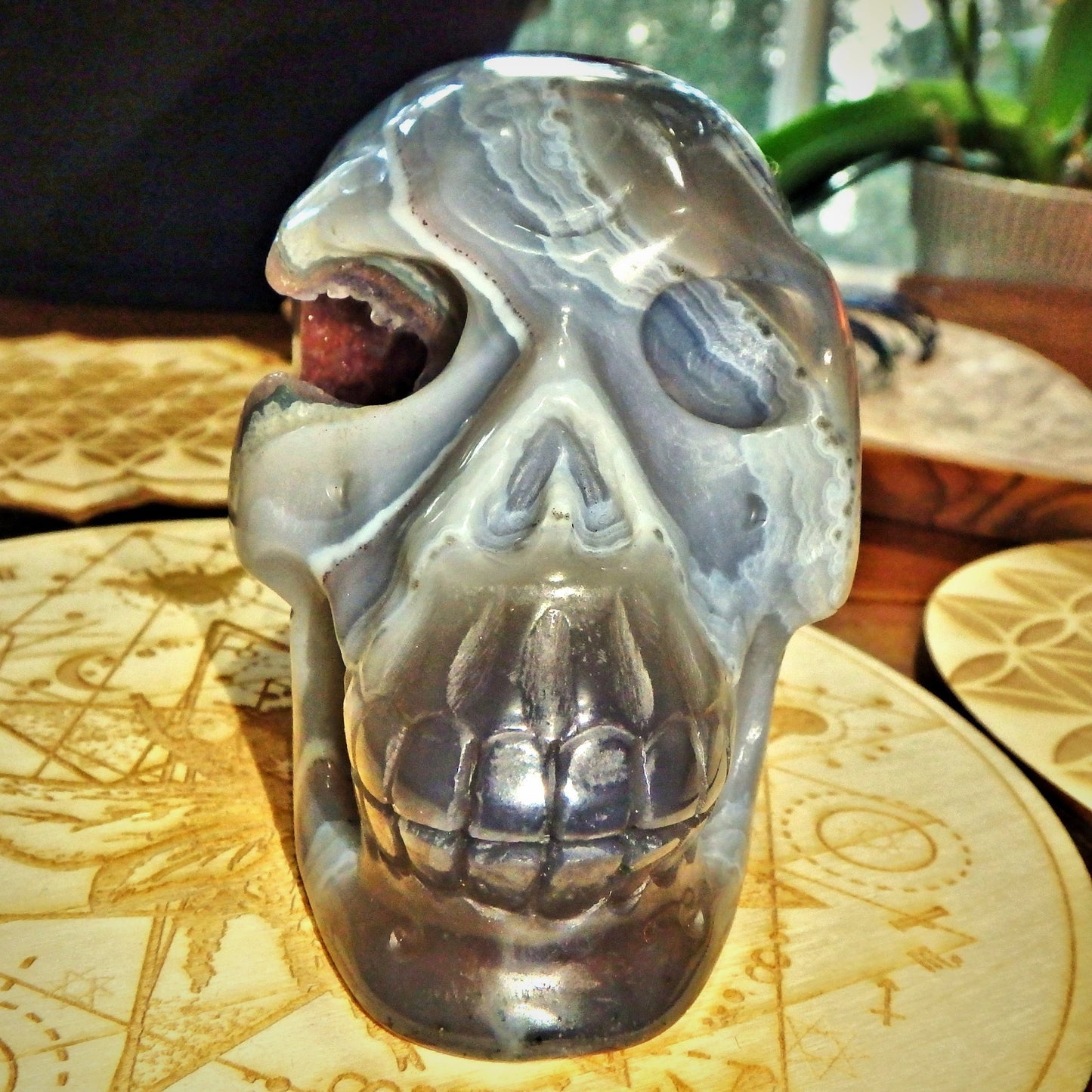 Mr Spunky ~Deep Amethyst Druzy Cave & Blue Agate Swirls Large Skull Carving From Brazil - Earth Family Crystals