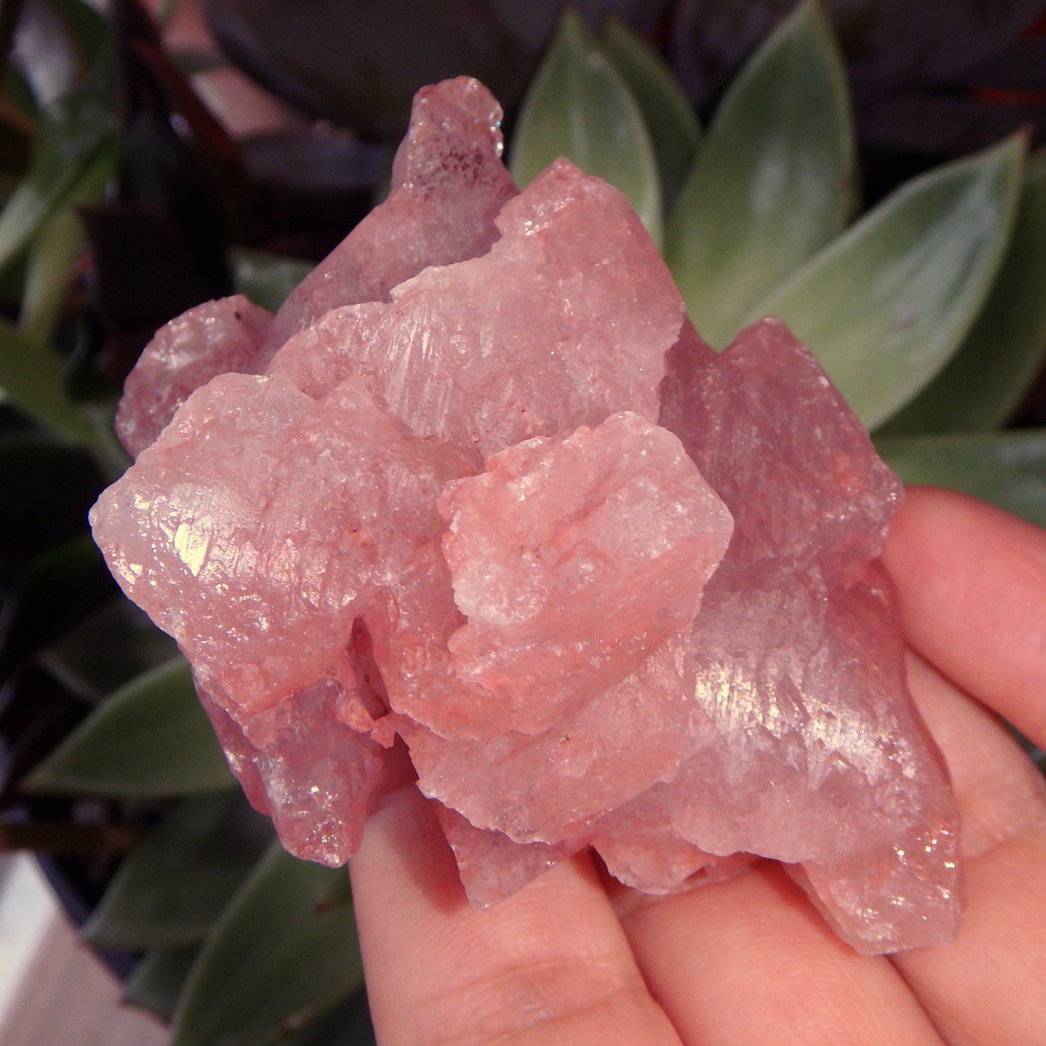  Blushing Pink Earth Etched Nirvana Ice Quartz From The Himalayas