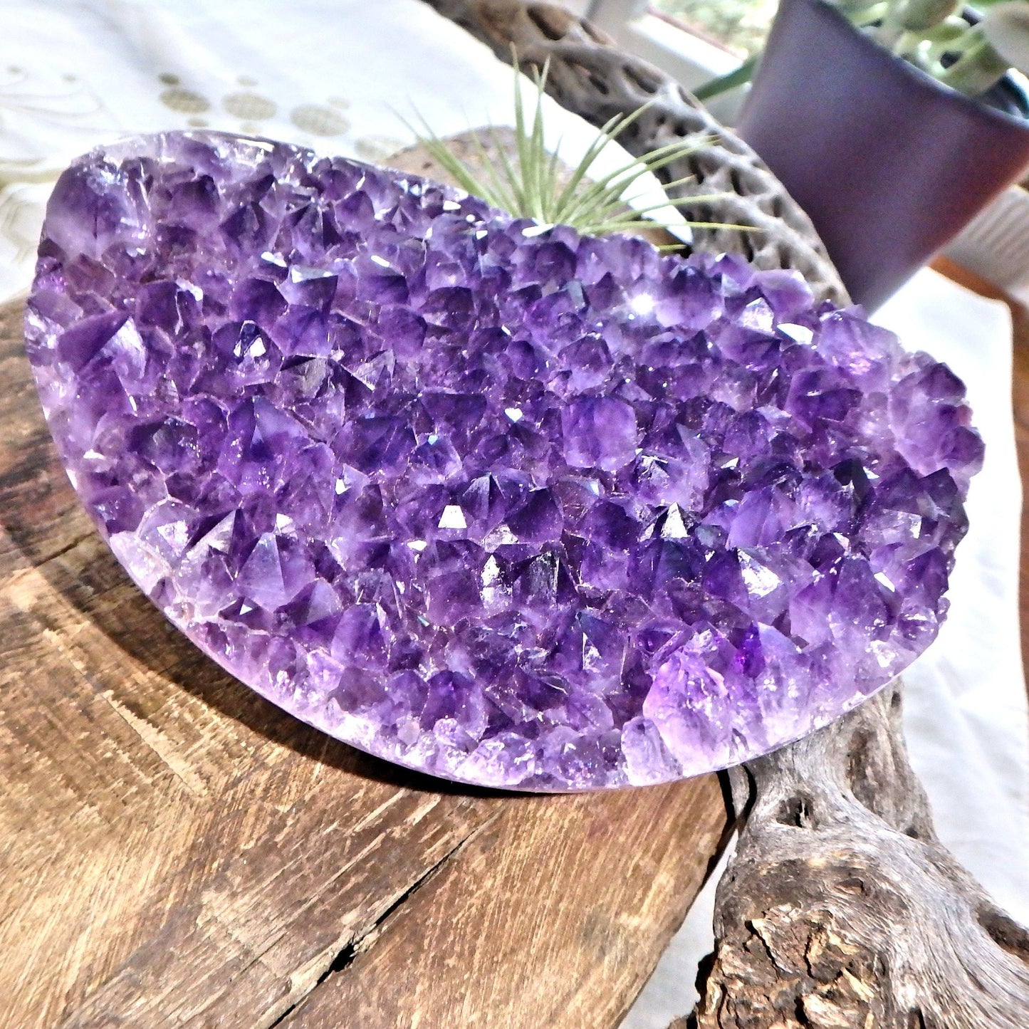  Amazing Large Amethyst Partial Sphere Carving With Fantastic Underside Natural Flower Pattern