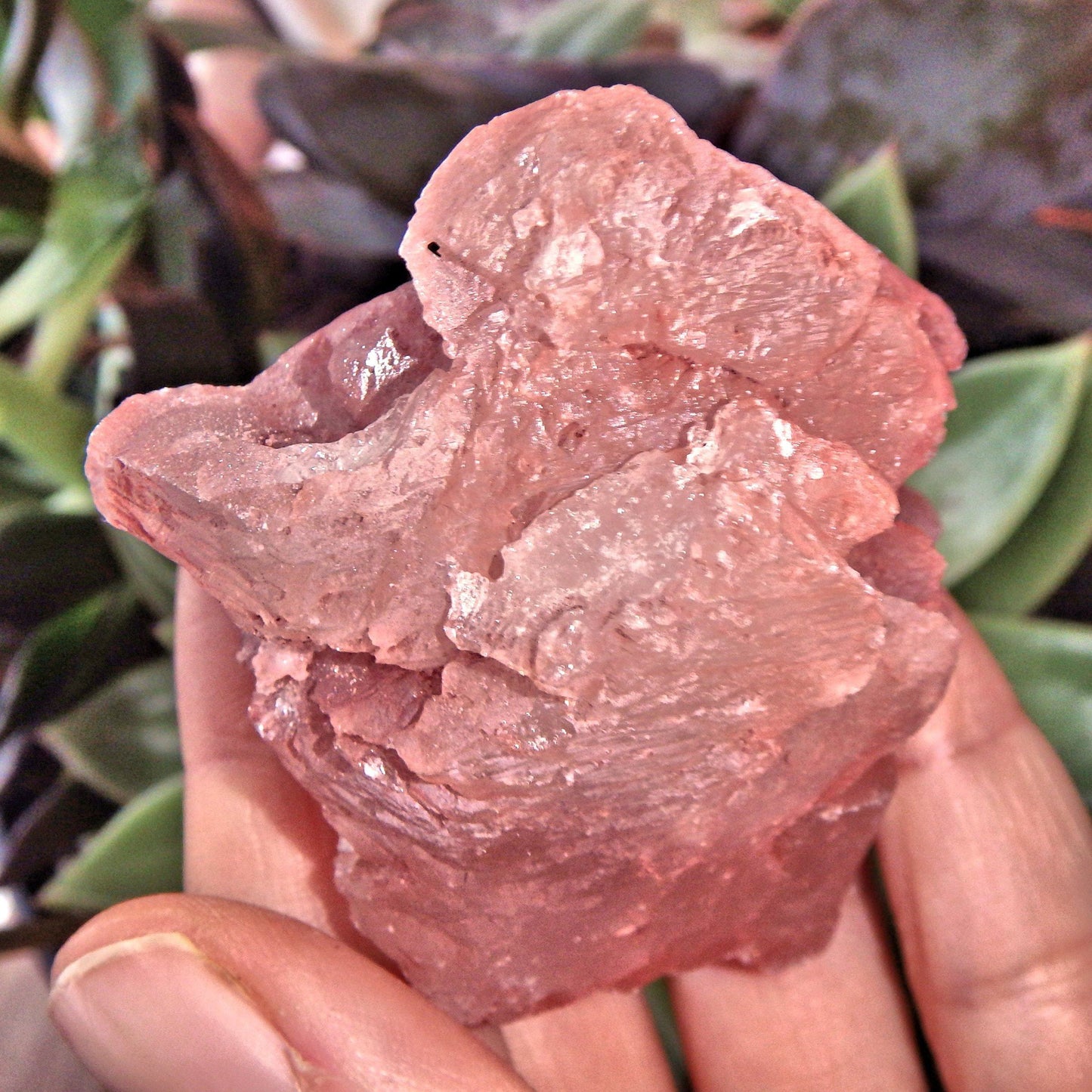  Blushing Pink Earth Etched Nirvana Ice Quartz From The Himalayas