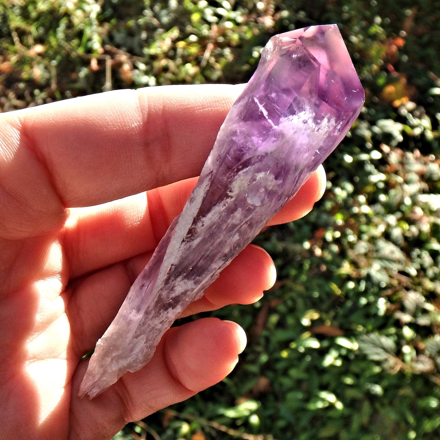 New Find~Gorgeous Amethyst Elestial Phantom Quartz Point From Bahia, Brazil 5 - Earth Family Crystals