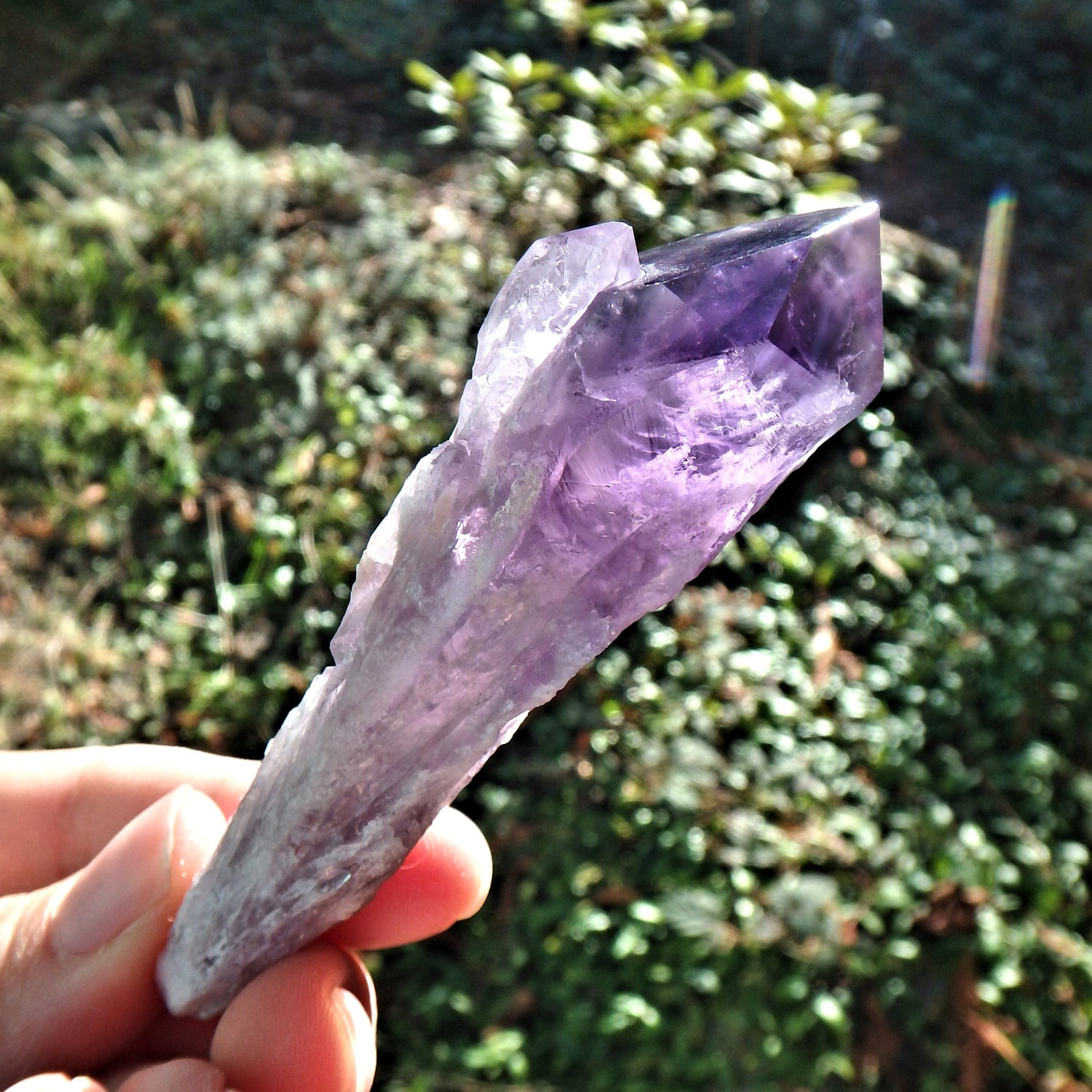 New Find~Gorgeous Amethyst Elestial Phantom Quartz Point From Bahia, Brazil 3 - Earth Family Crystals