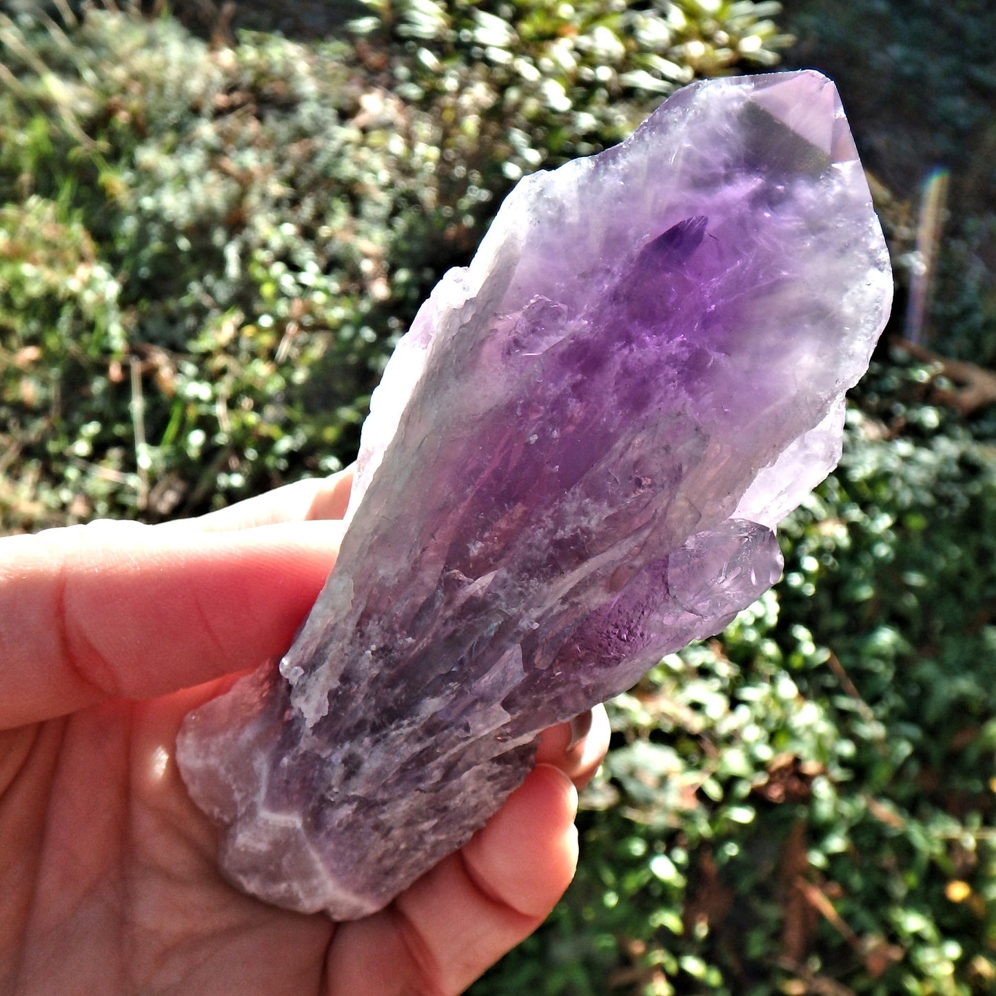 New Find~Stunning Large Amethyst Elestial Phantom Quartz Point From Bahia, Brazil 1 - Earth Family Crystals