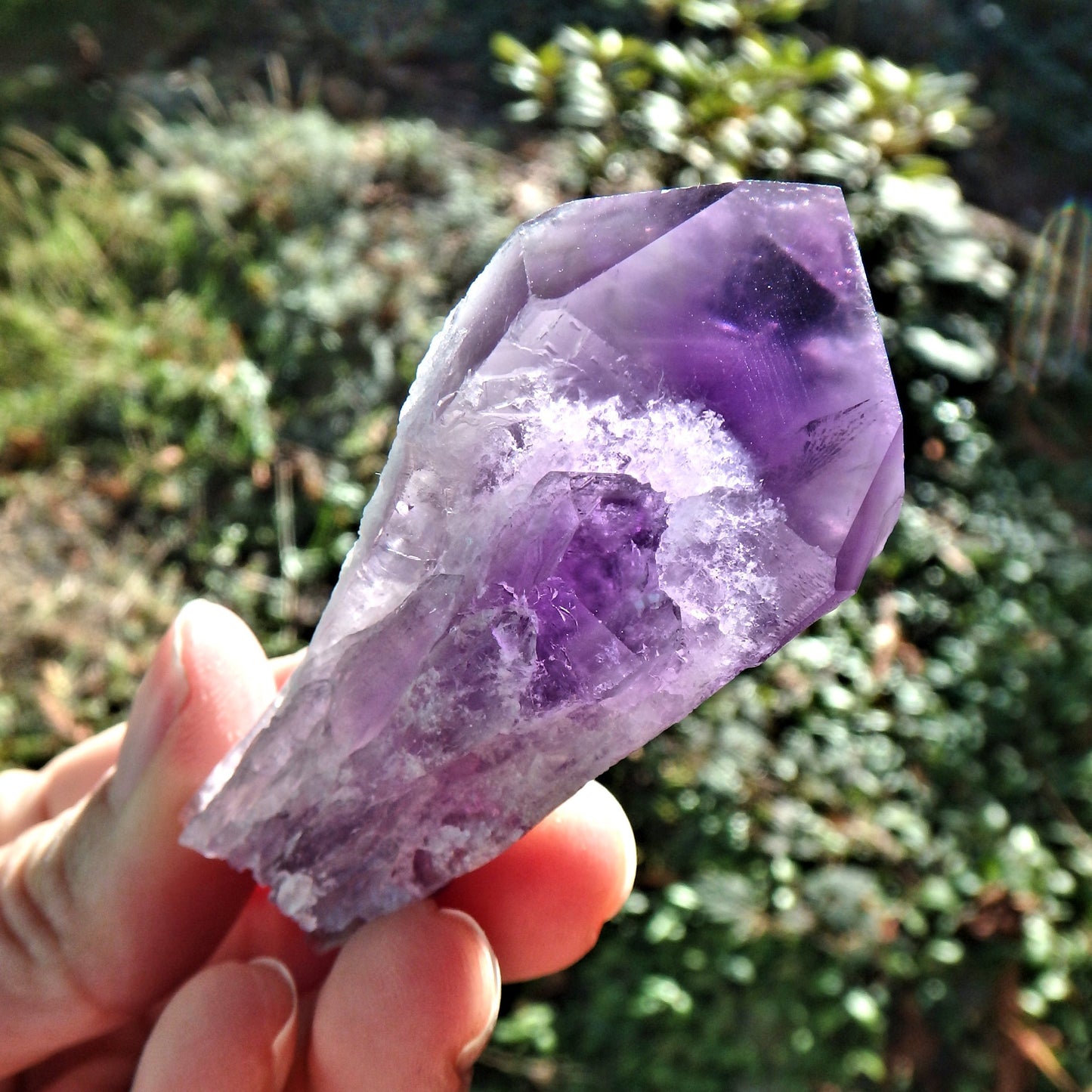 New Find~Gorgeous Amethyst Elestial Phantom Quartz Point From Bahia, Brazil 4 - Earth Family Crystals