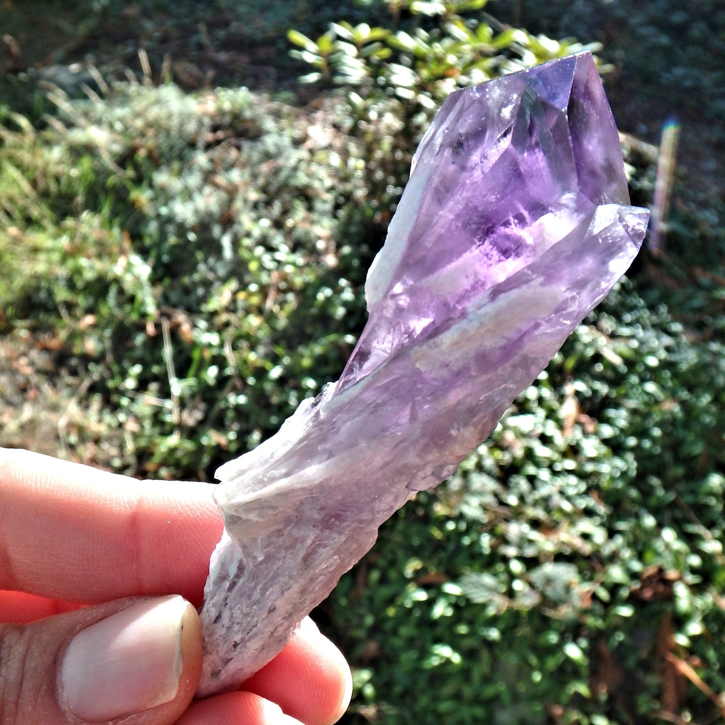 New Find~Gorgeous Amethyst Elestial Phantom Quartz Point From Bahia, Brazil 3 - Earth Family Crystals