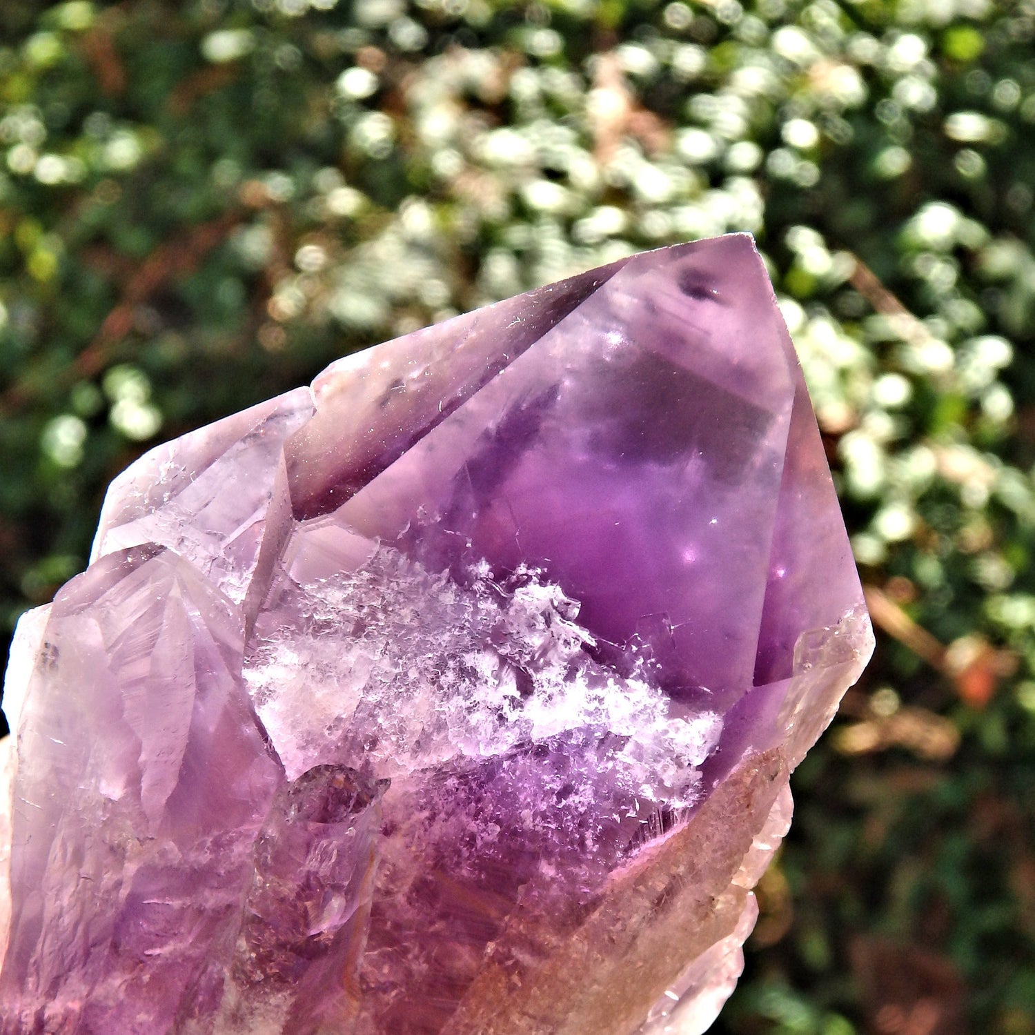 New Find~Long & Exquisite Large Amethyst Elestial Phantom Quartz Point From Bahia, Brazil 2 - Earth Family Crystals